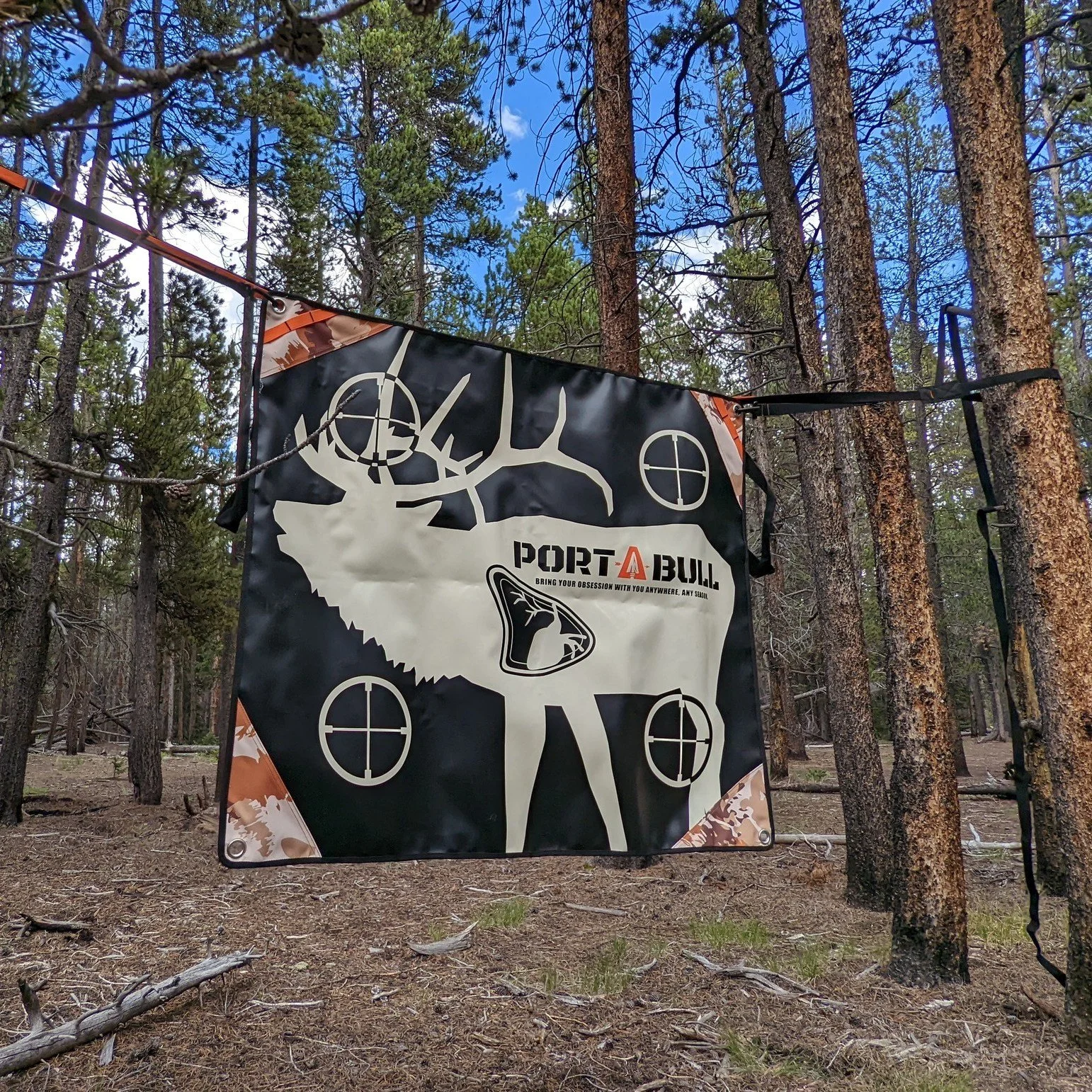 PortABull Archery Target