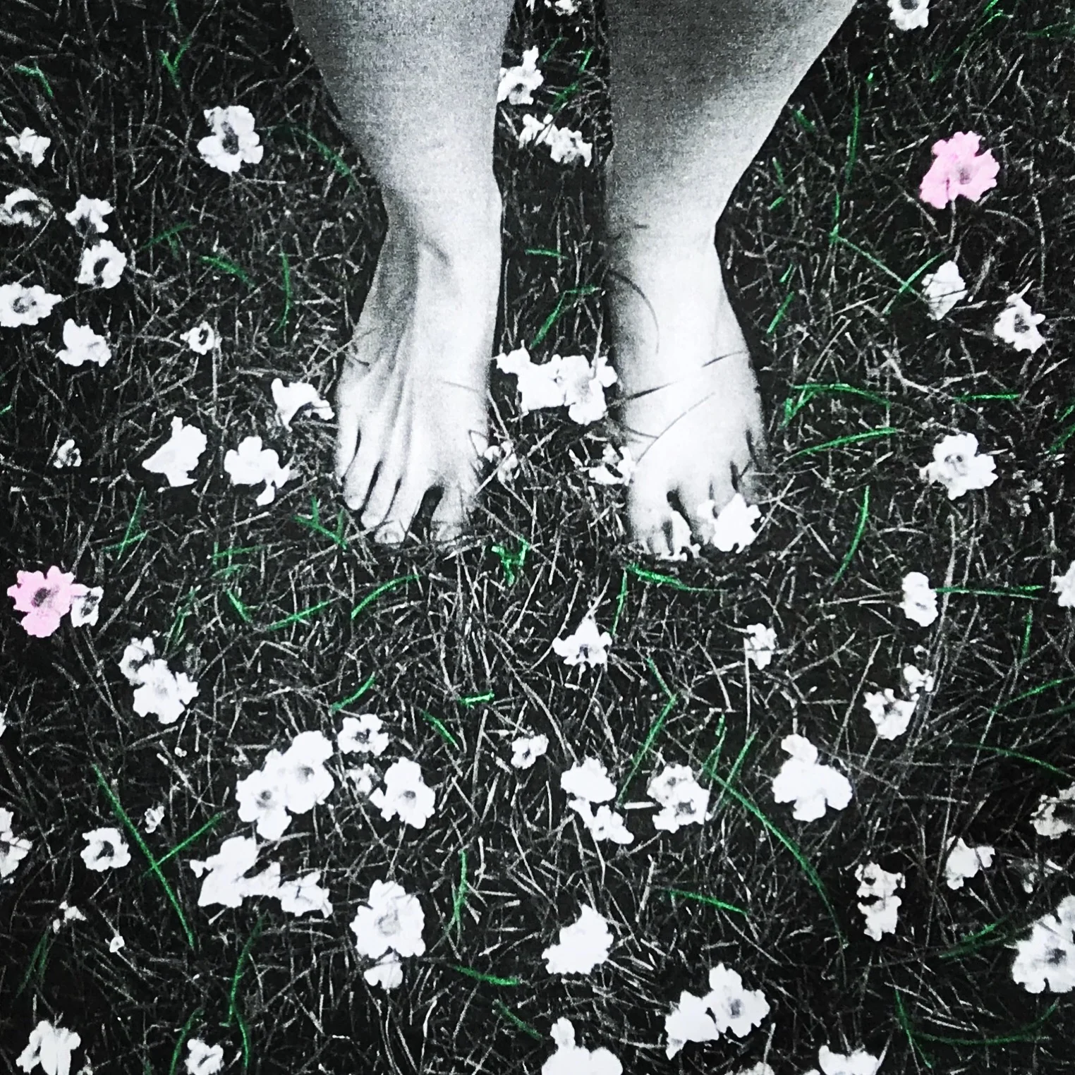 Untitled, 2019. Oil pastel on photocopied original b&amp;w photo. Private collection.