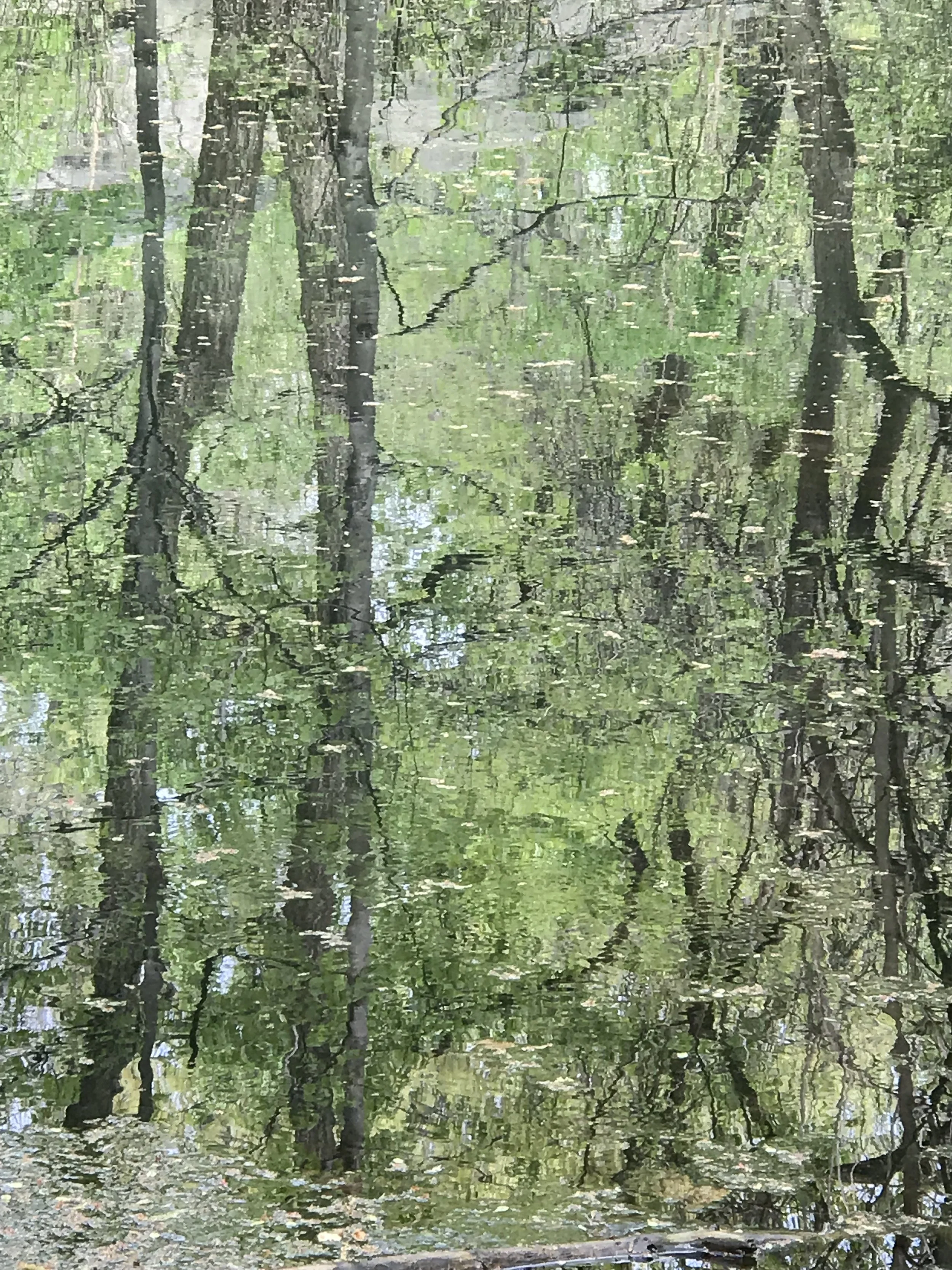 Untitled, 2019. Digital photograph. Price available upon request.