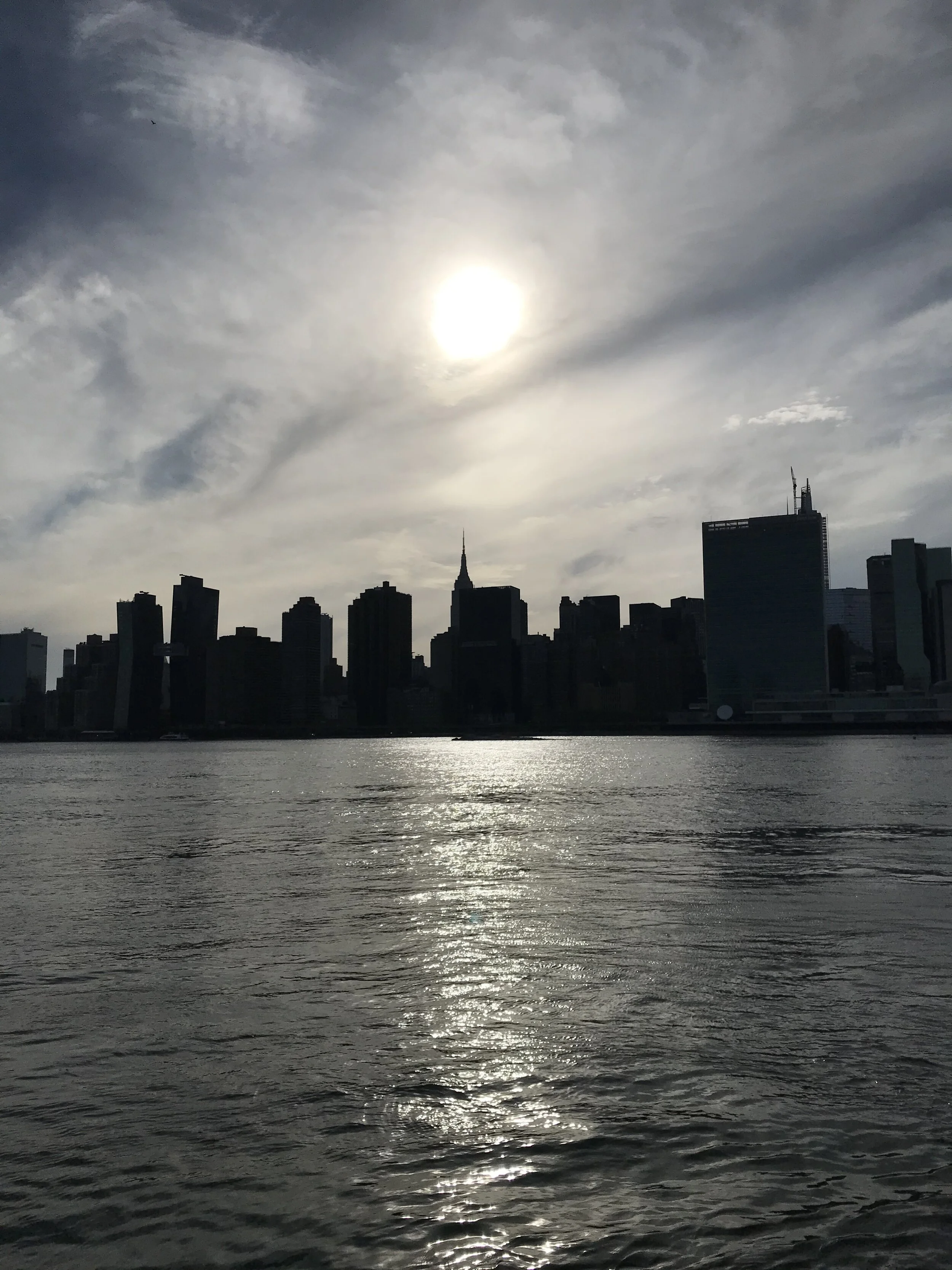 Manhattan at Dusk_Ellen Sturm Niz.jpg