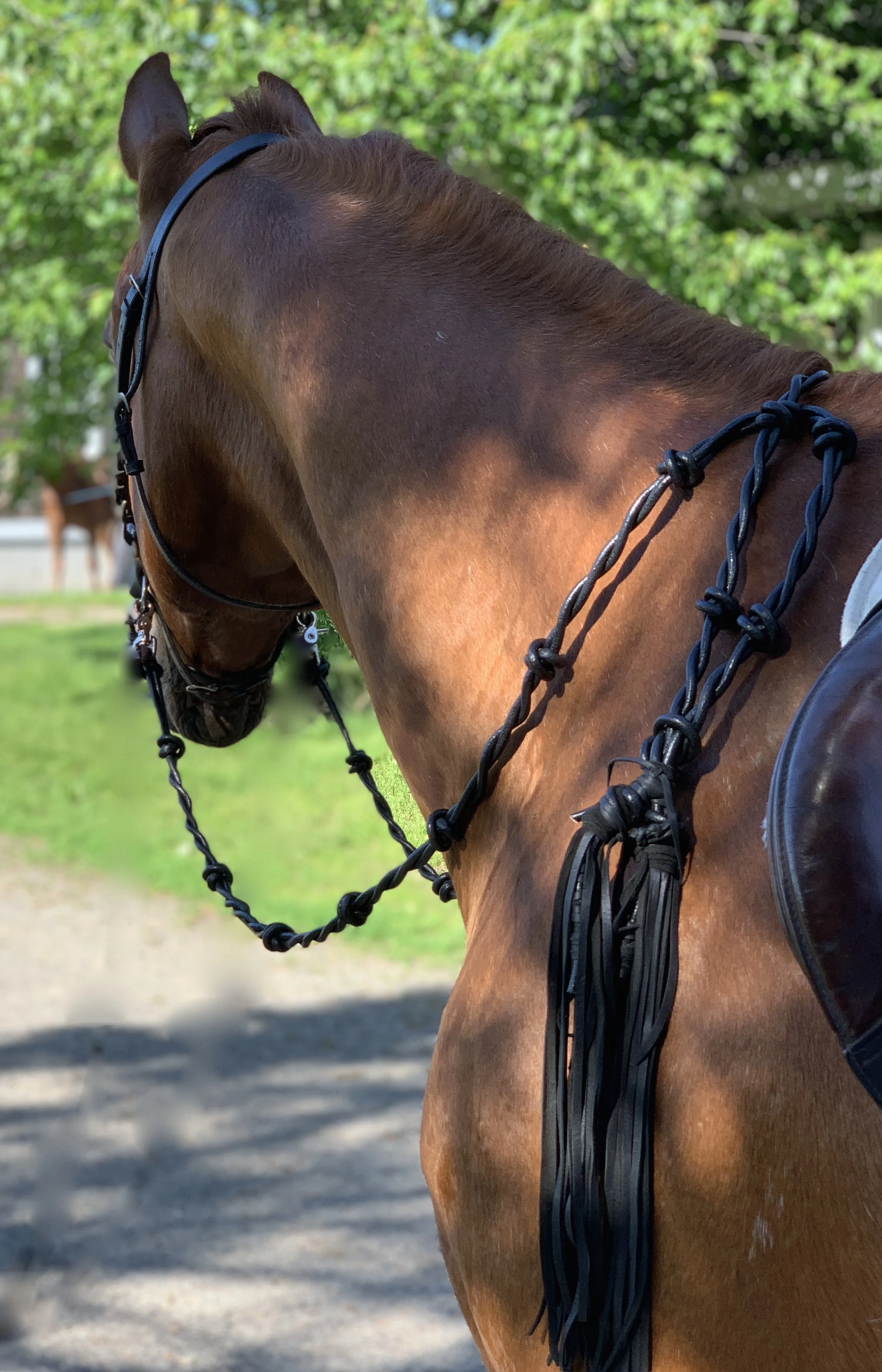 XX Long Deerskin Tassel on Reins