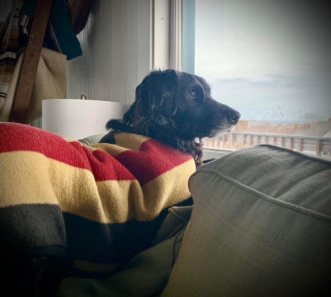 Camille, contemplating the sea.