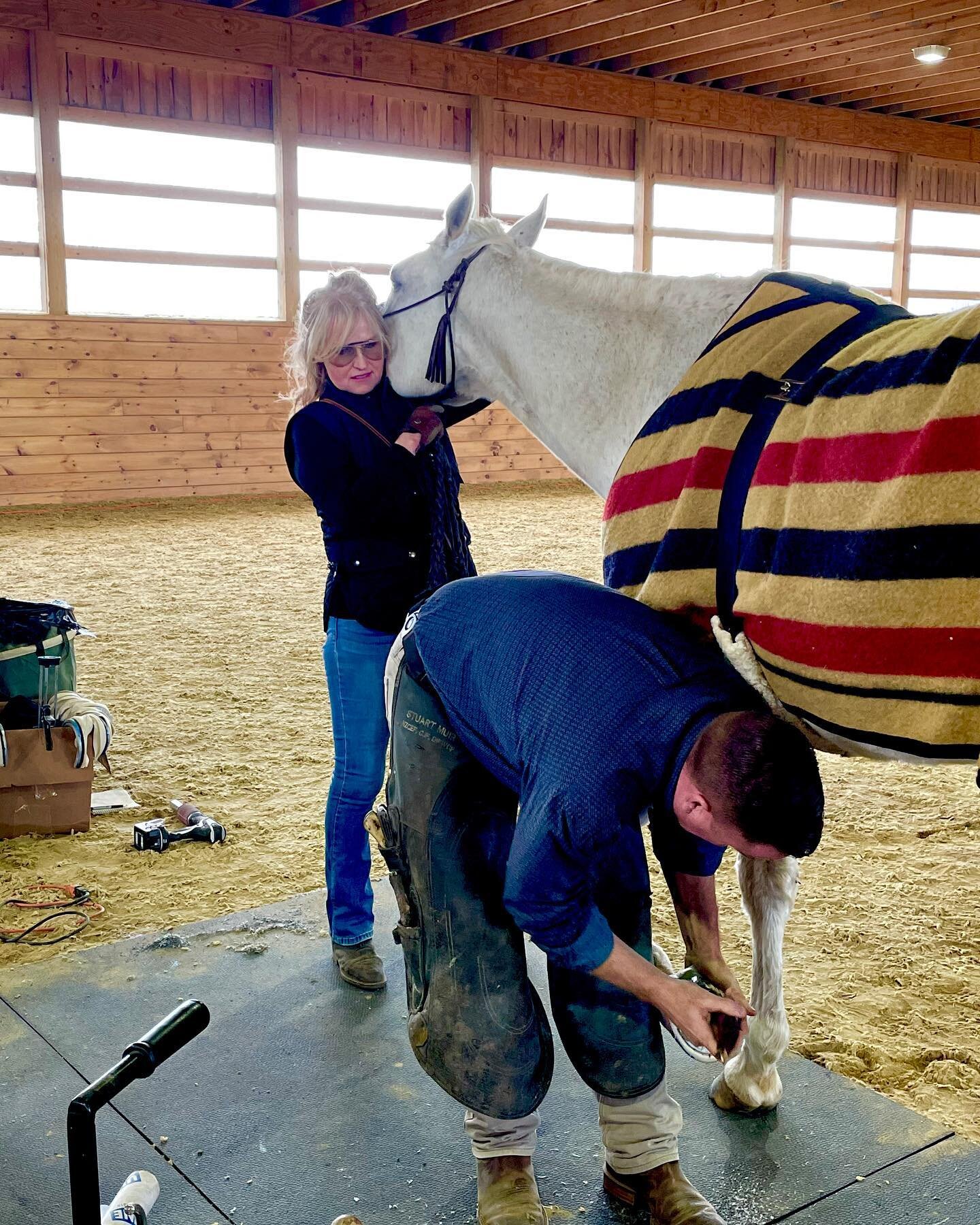 Thank you to Stuart Muir of Rood and Riddle, Lexington Kentucky for working on one of my deserving horses yesterday, my White-Light.  Thank you to the Humble Hoof to hold such an informative clinic with Stuart Muir, Derek Poupard, Yogi Sharp and Page