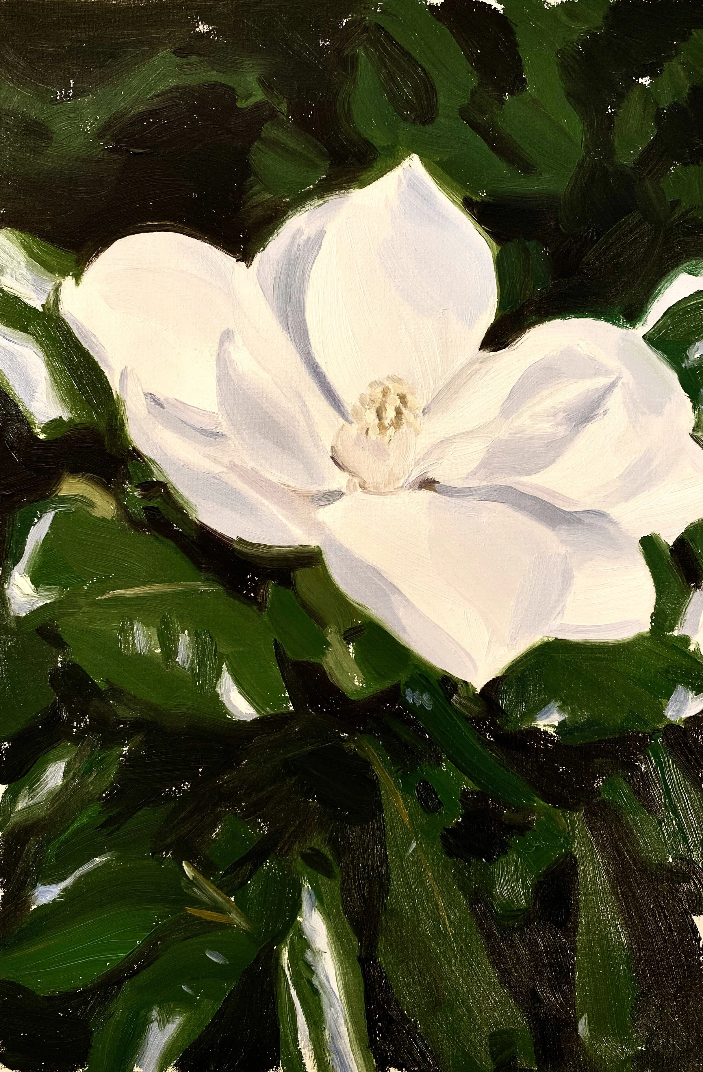 BEGINNER OIL PAINTING CLASS I 2hr/Weekly