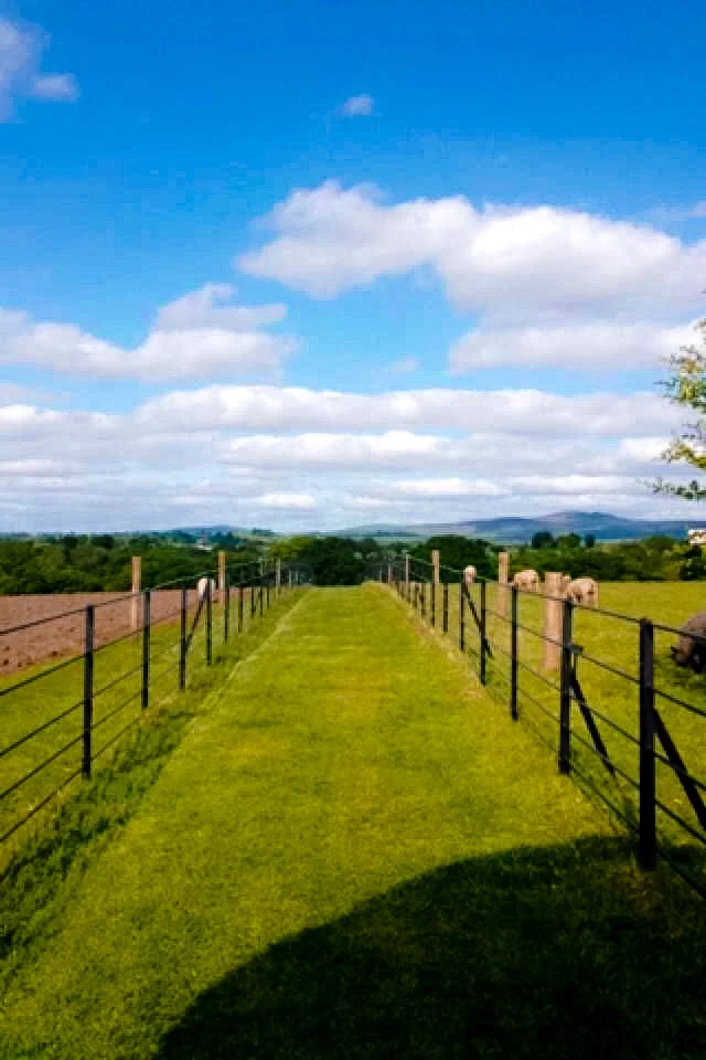  Altamont Gardens, Ireland. 2016 