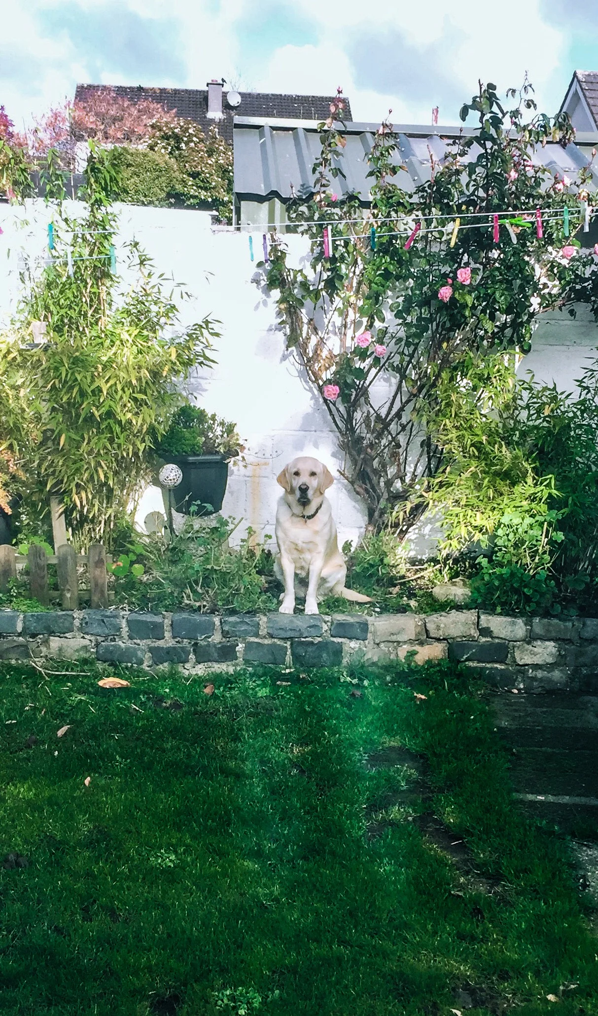  Naas, Ireland. 2018 