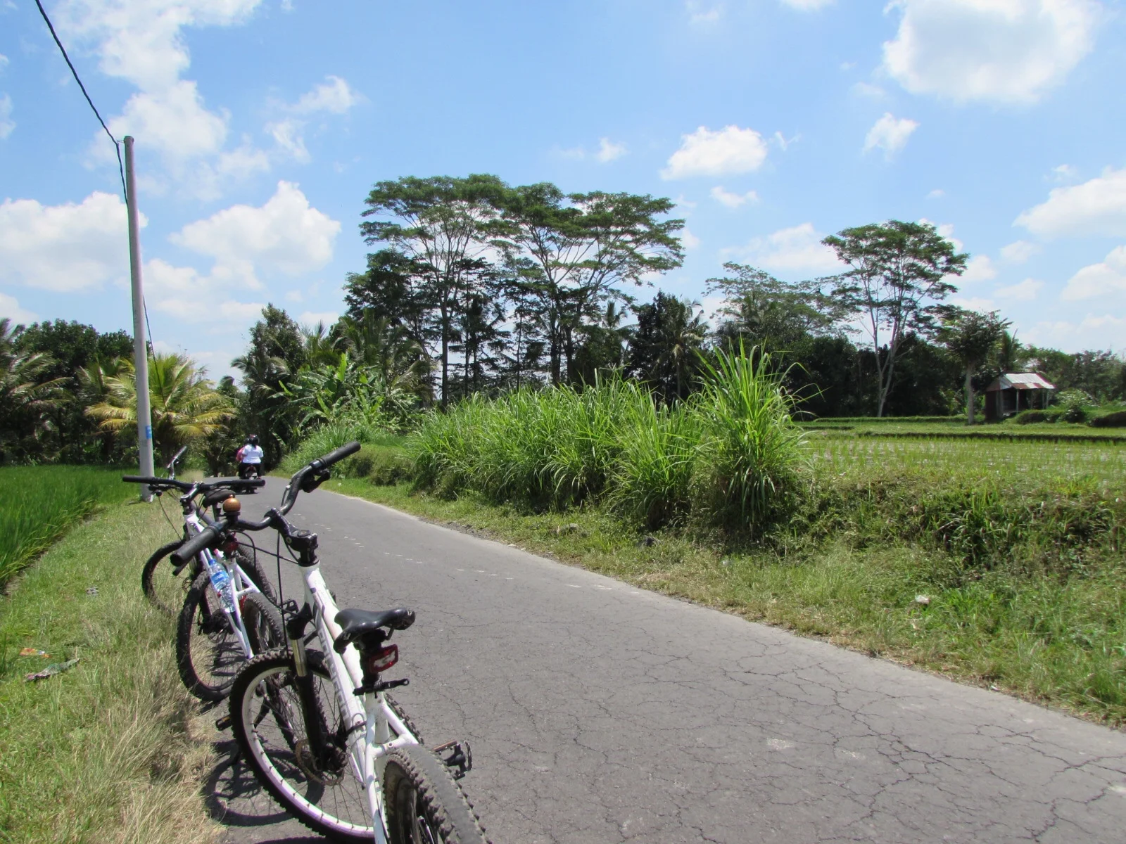 Happy Bike Cycling Tour- Ubud
