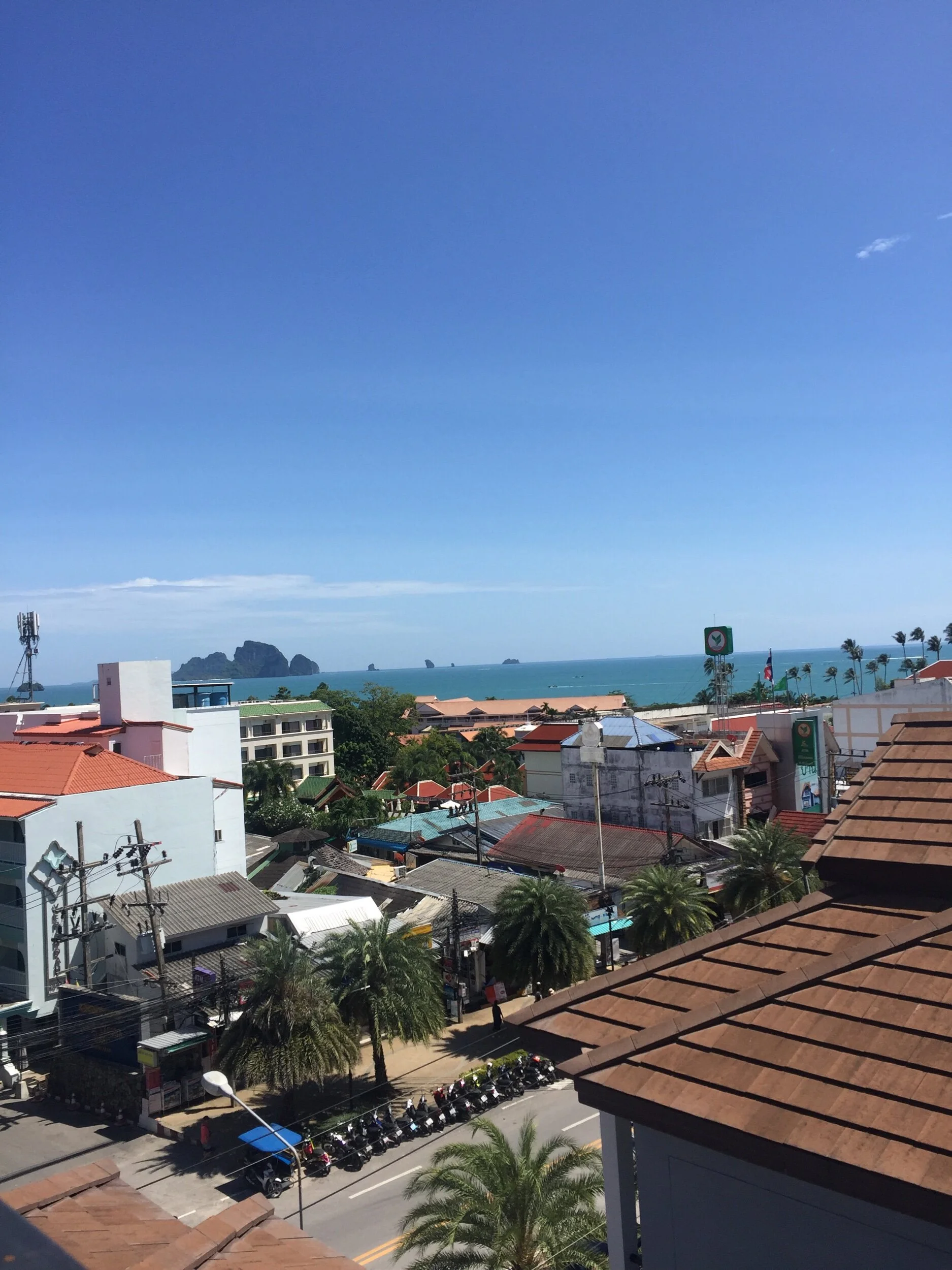View from the rooftop pool