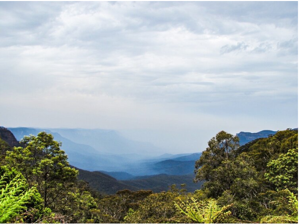 Blue Mountains