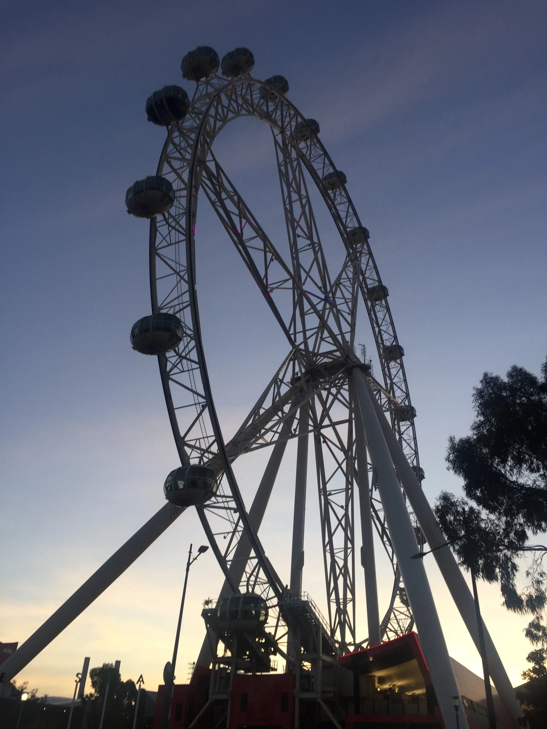 IMG_7479.jpeg