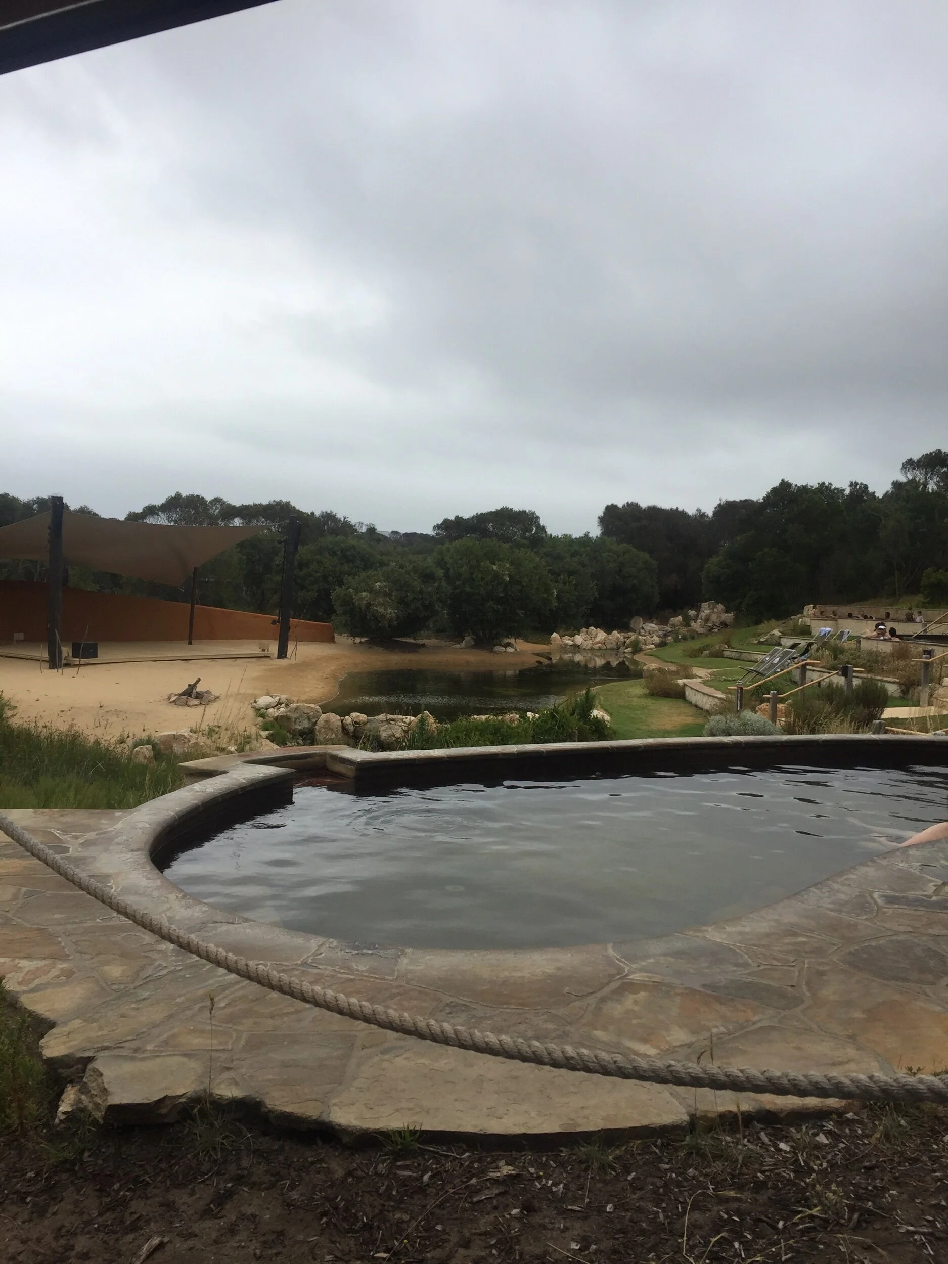 IMG_7620.jpeg