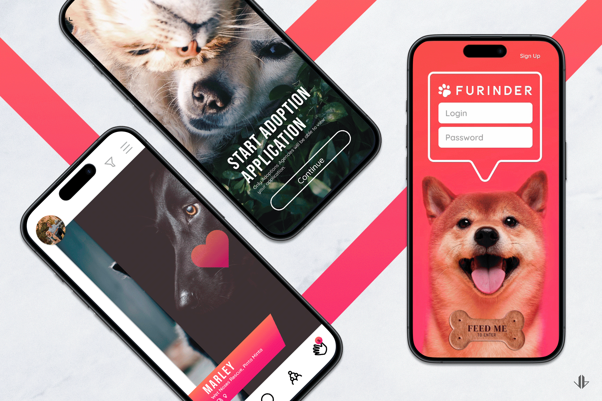j_barter_pet_app.gif