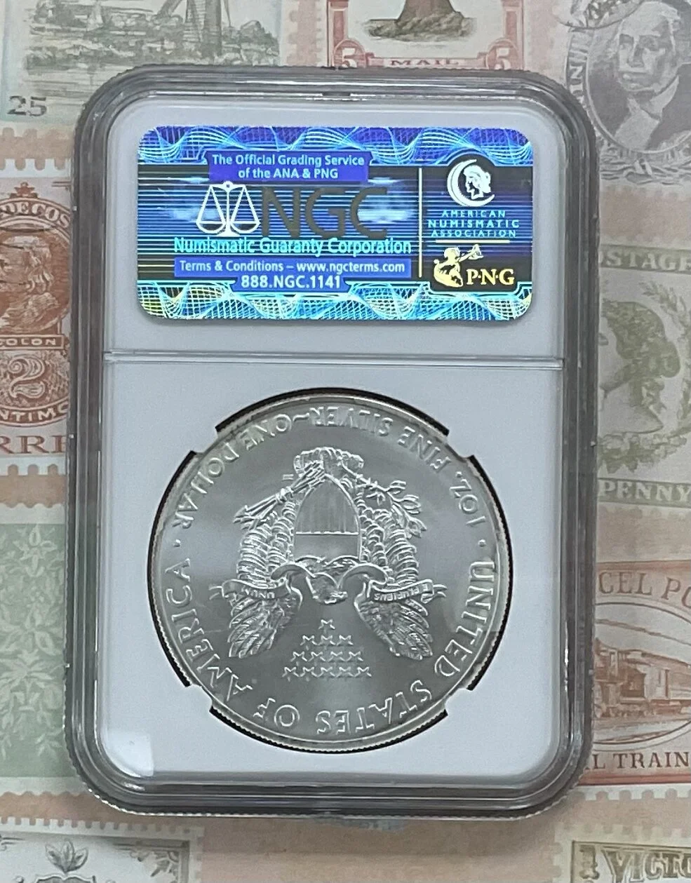 FA810BC3-C820-44ED-B12C-3BAA09499770