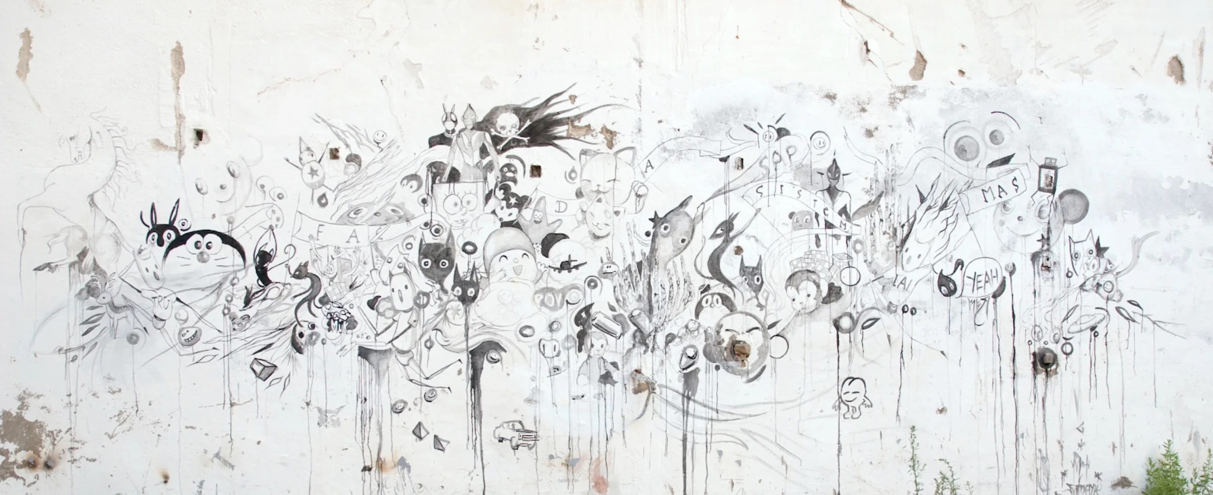 ILIA MAYER