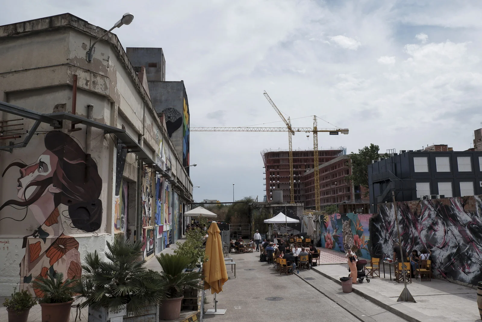 festival-2019-bmurals-16.jpg