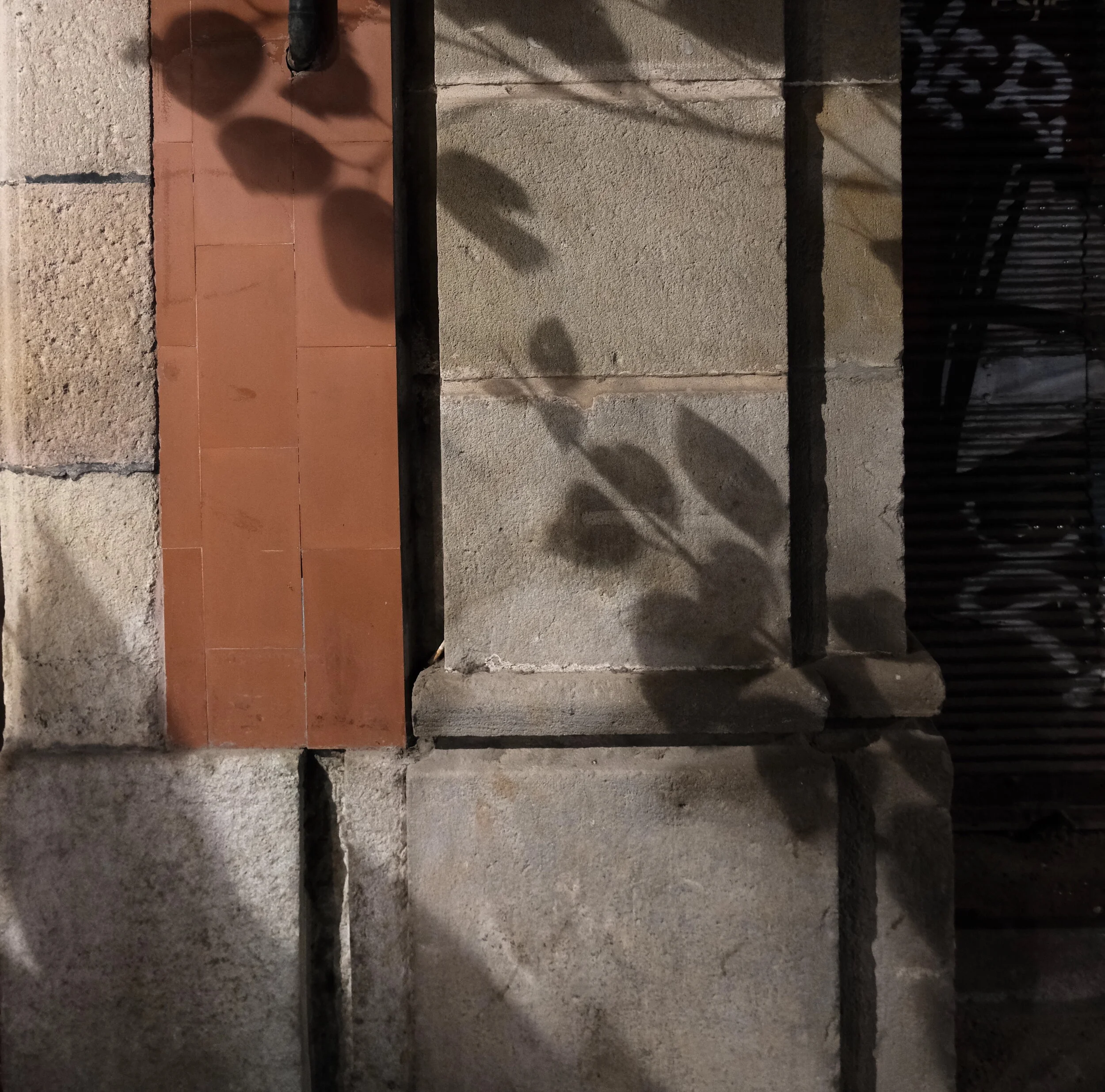 DSCF0585.JPG