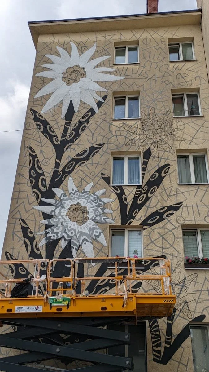 WhatsApp Image 2023-08-01 at 16.08.46.jpeg