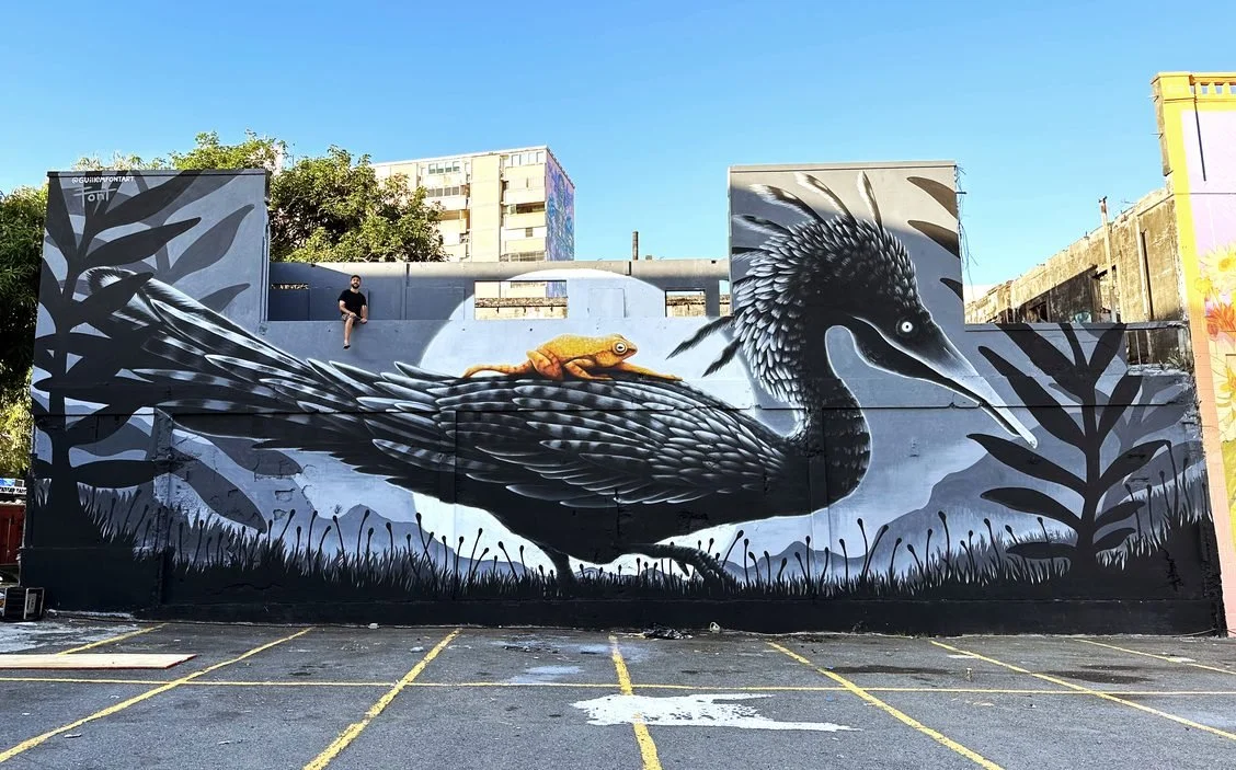 GUILLEM FONT AT CALLE LIBRE FESTIVAL (VIENA) - INTERVIEW