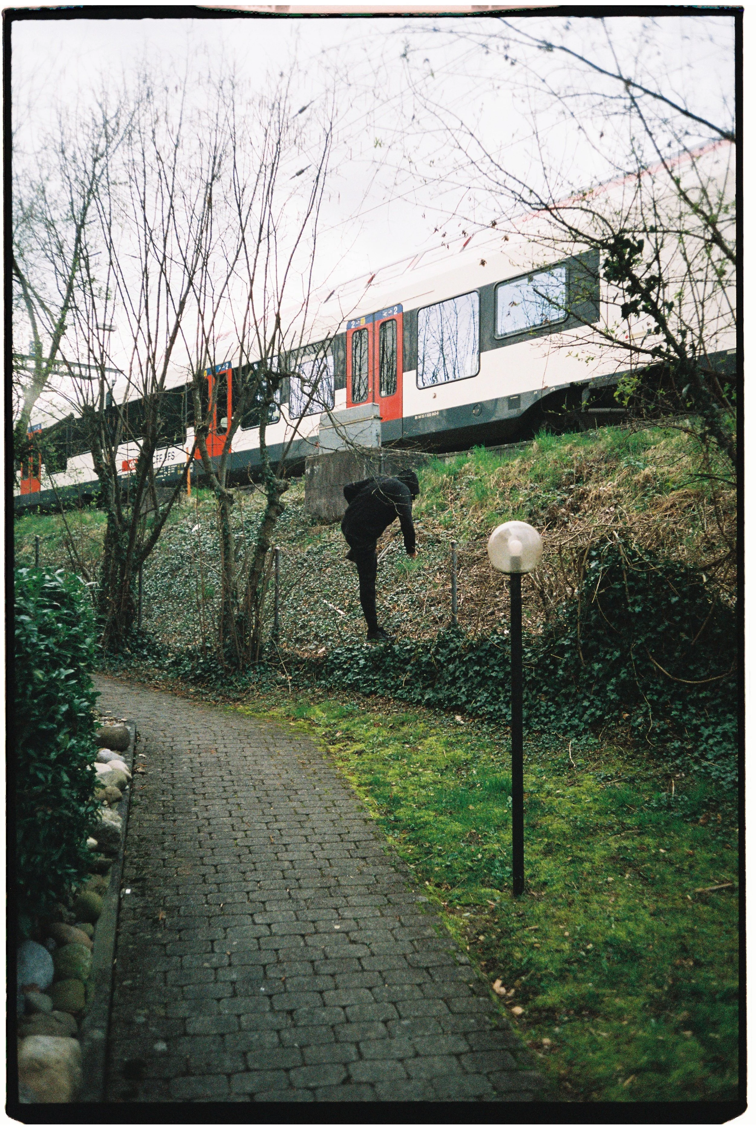 2.JPG