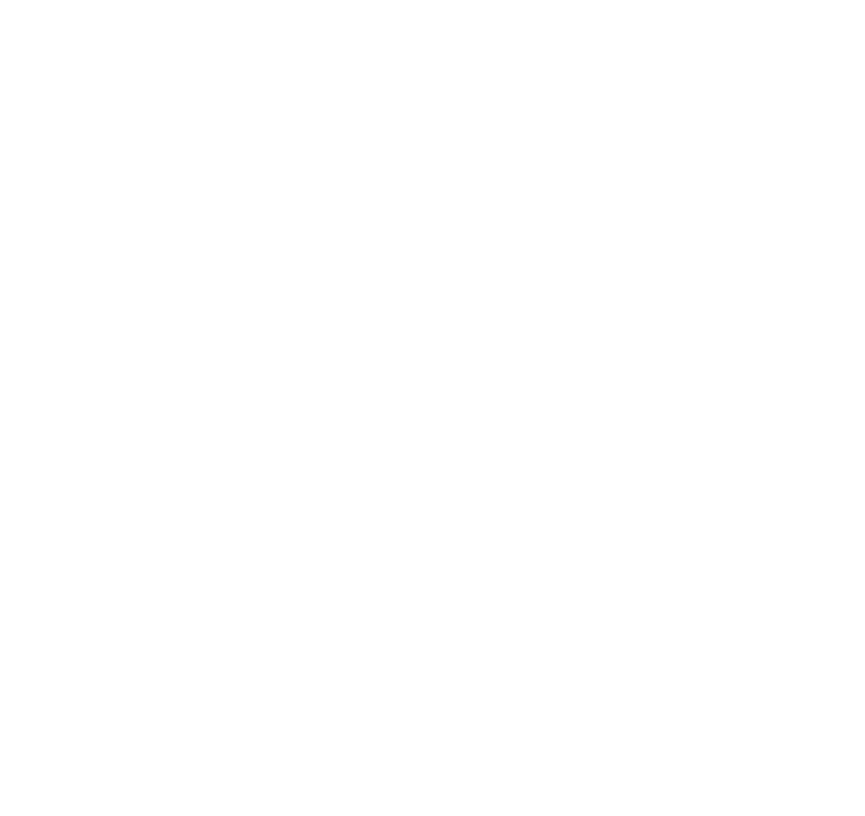 Blanc_LOGO NAU BOSTIK.png