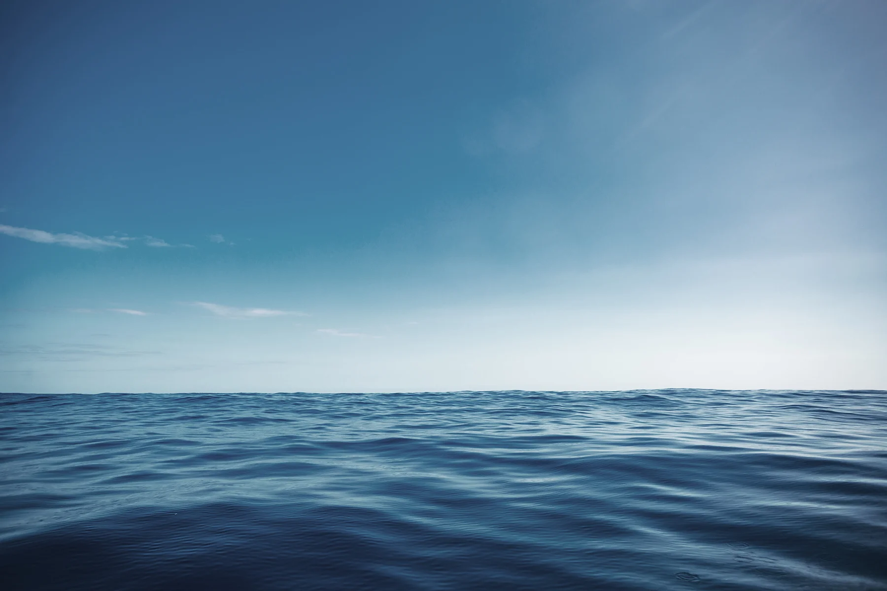 Home-Page-Banner-Top.jpg