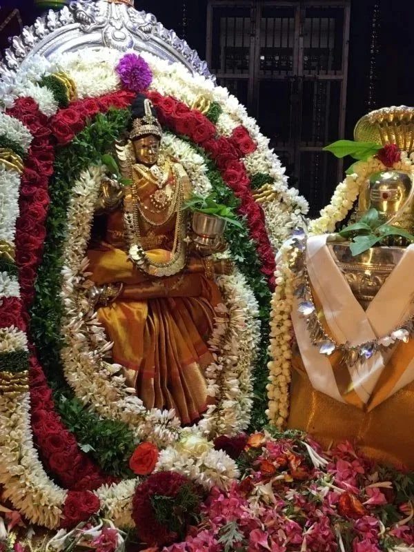 NAVARATRI - NIGHT 6  