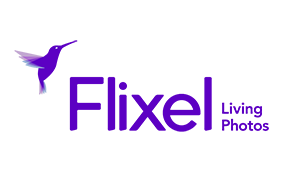 Flixel_logo_P small for website 2.png