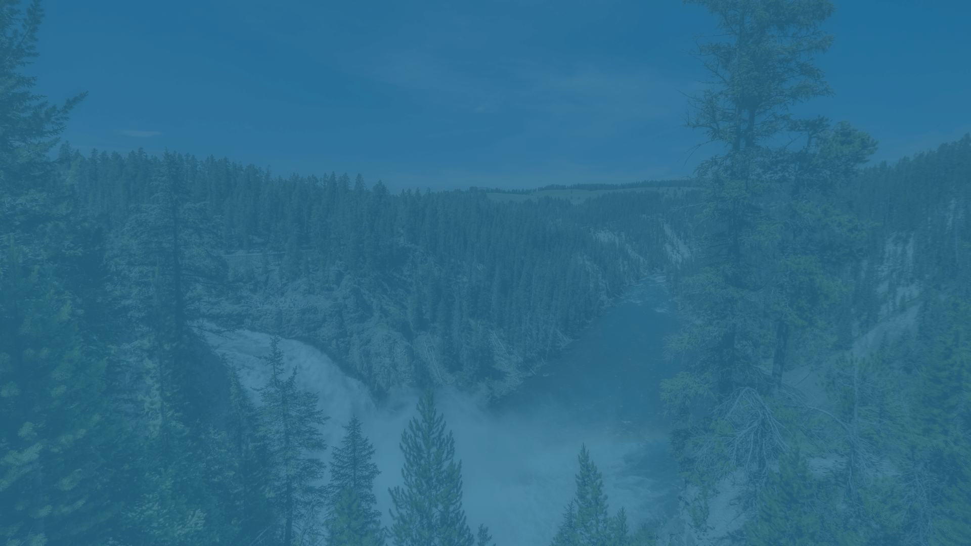 yellowstone background.png
