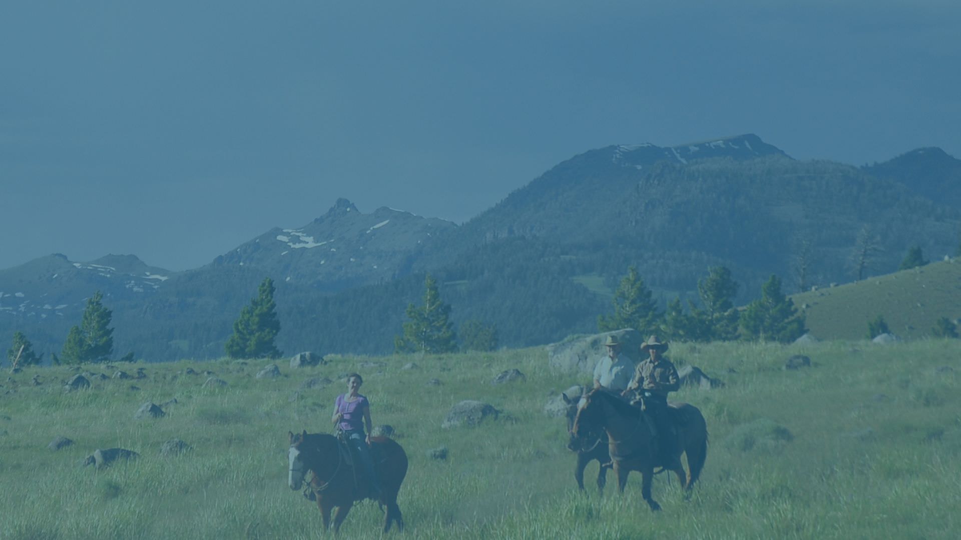 3 Day Yellowstone Adventure Hero.jpg