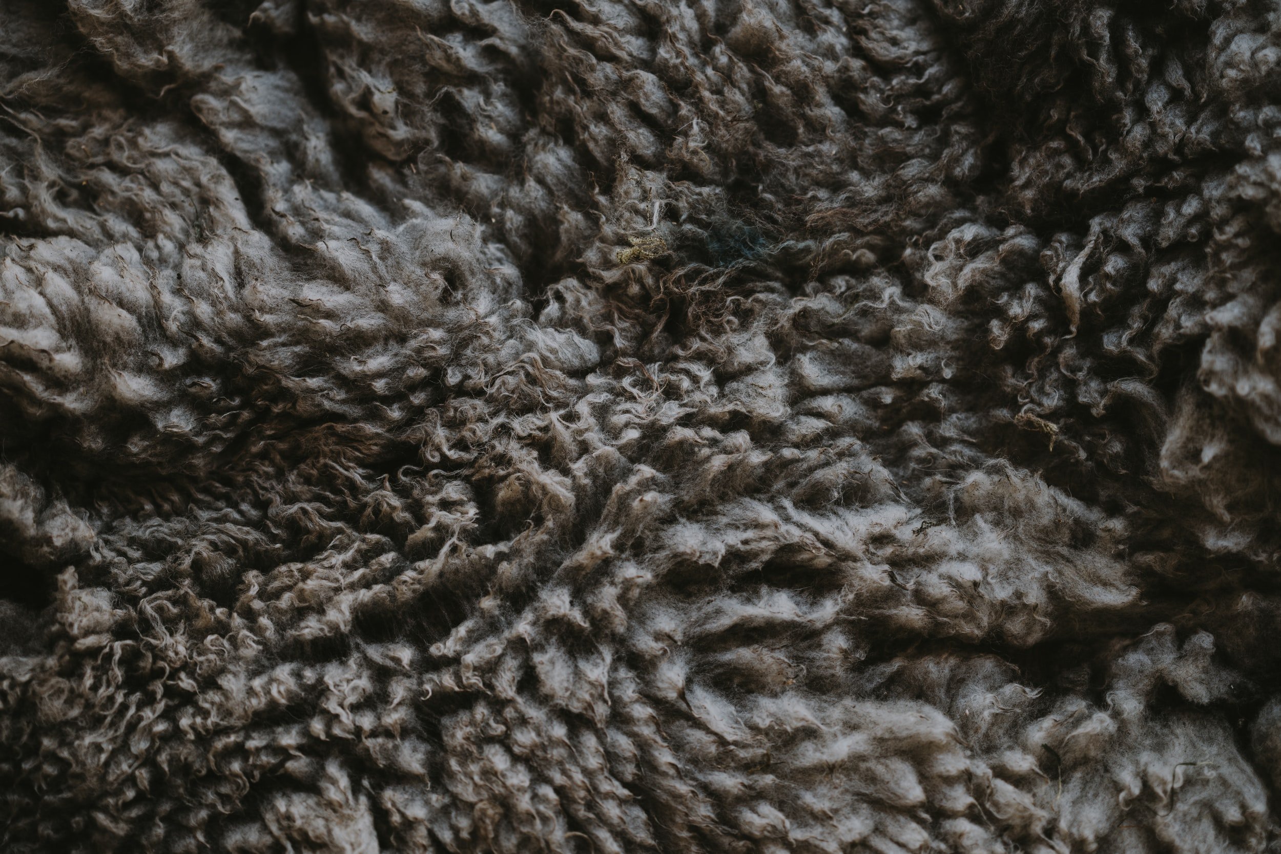 The Covering (Genesis 3:20-21)