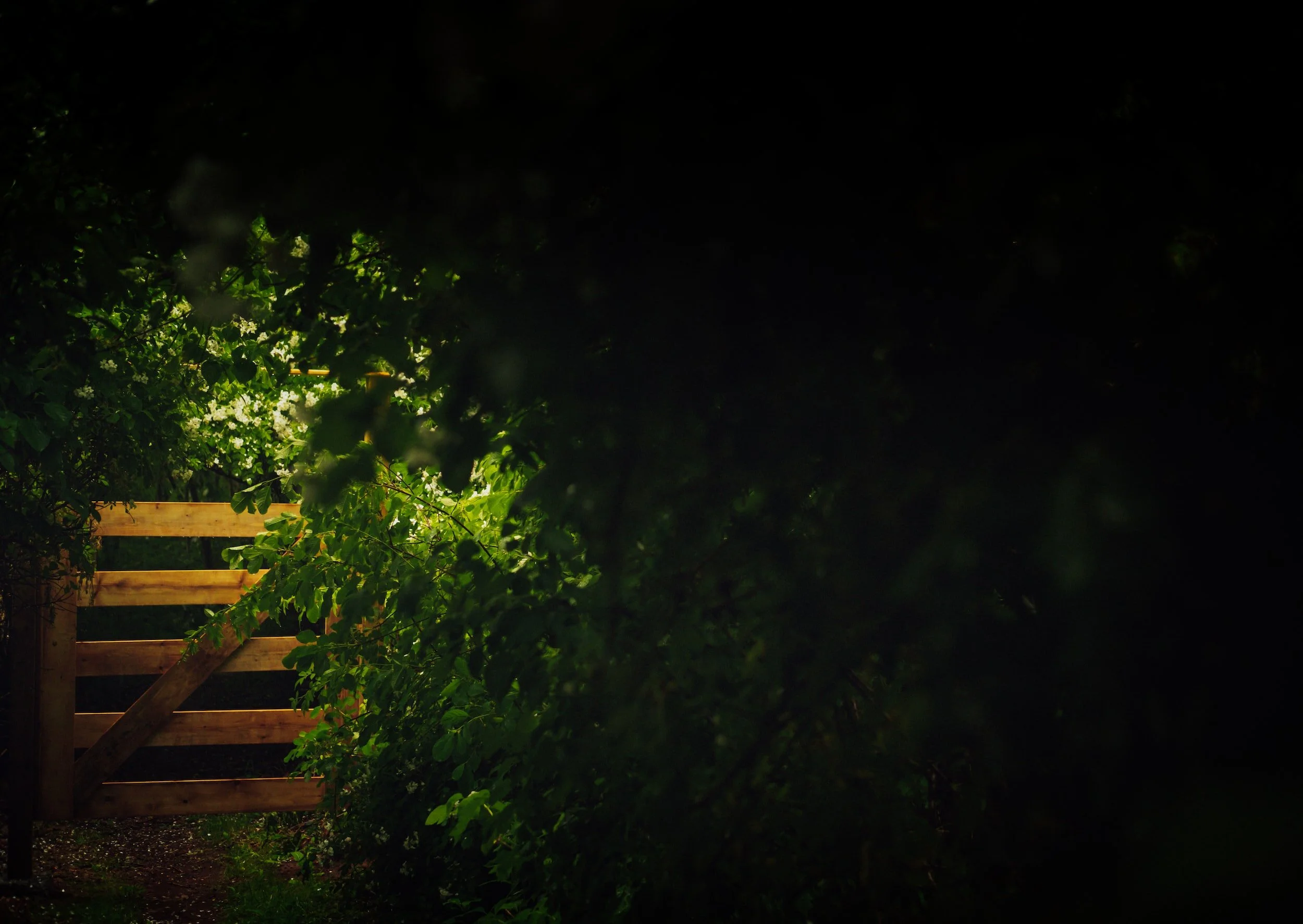 The Narrow Gate (Matthew 7:13-14)