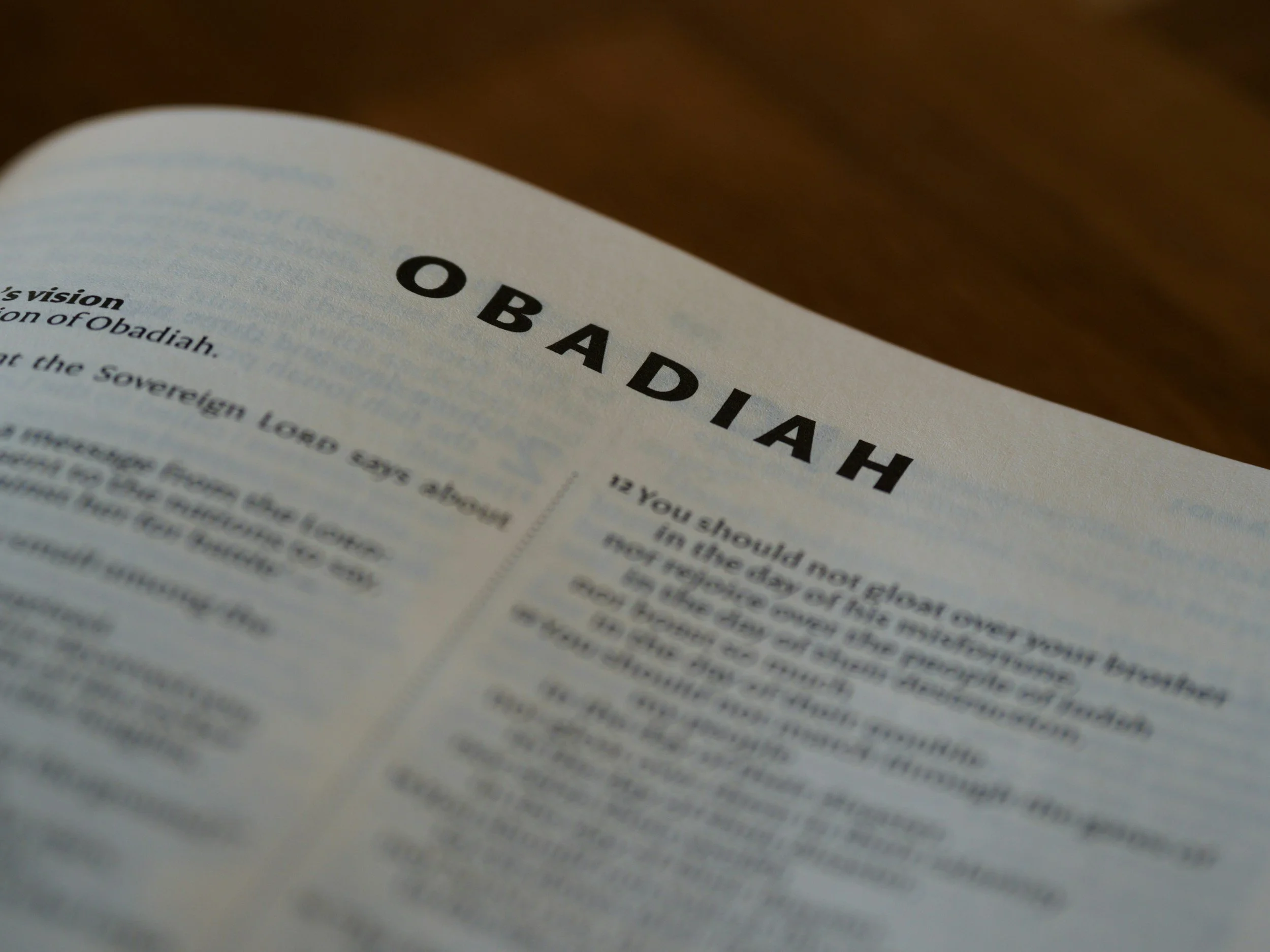 The Gospel According to Obadiah (Obadiah)