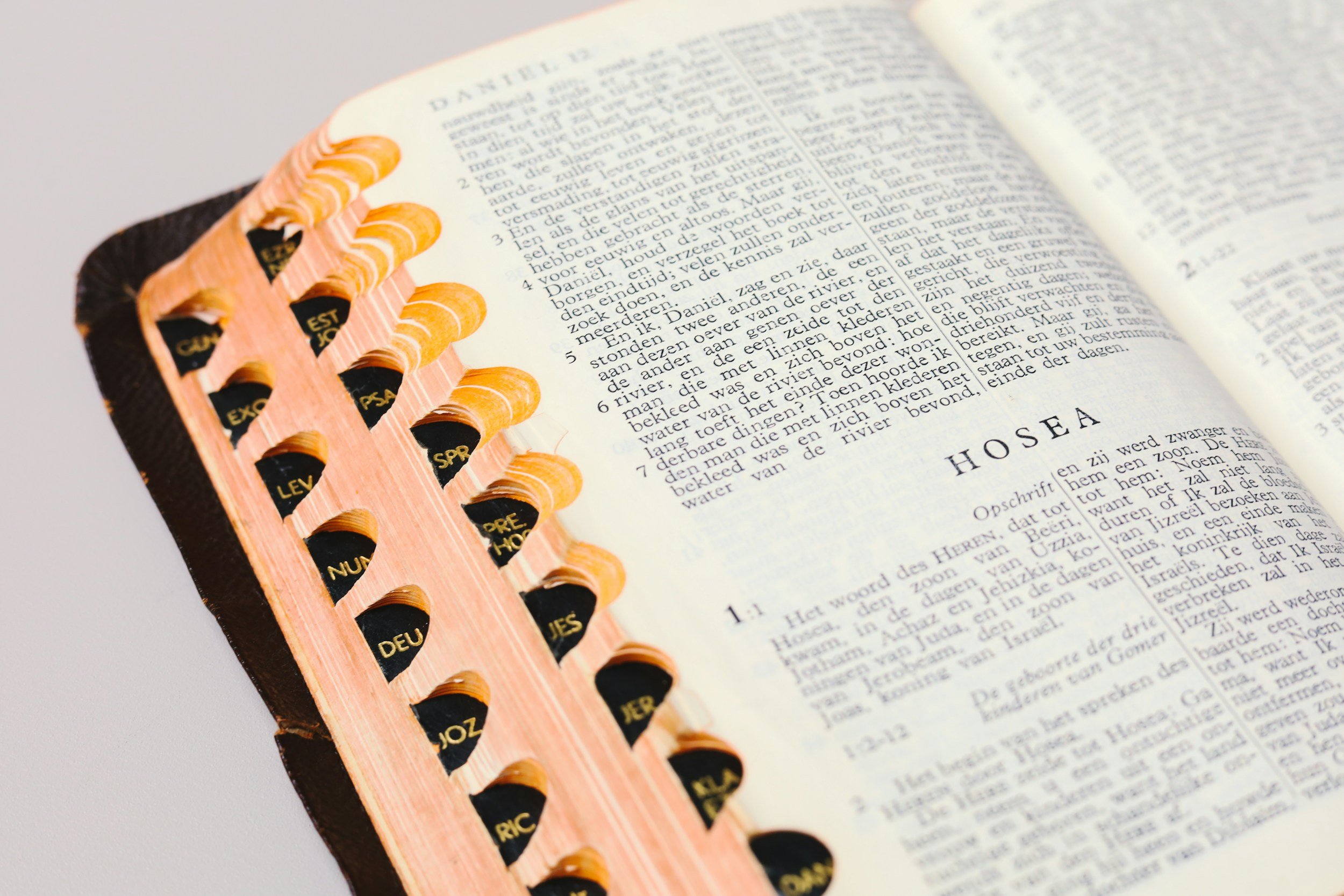 The Gospel According to Hosea, Part 1 (Hosea 1-3)