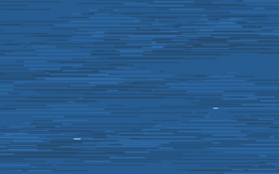 TermProjectVideo16 copy.gif