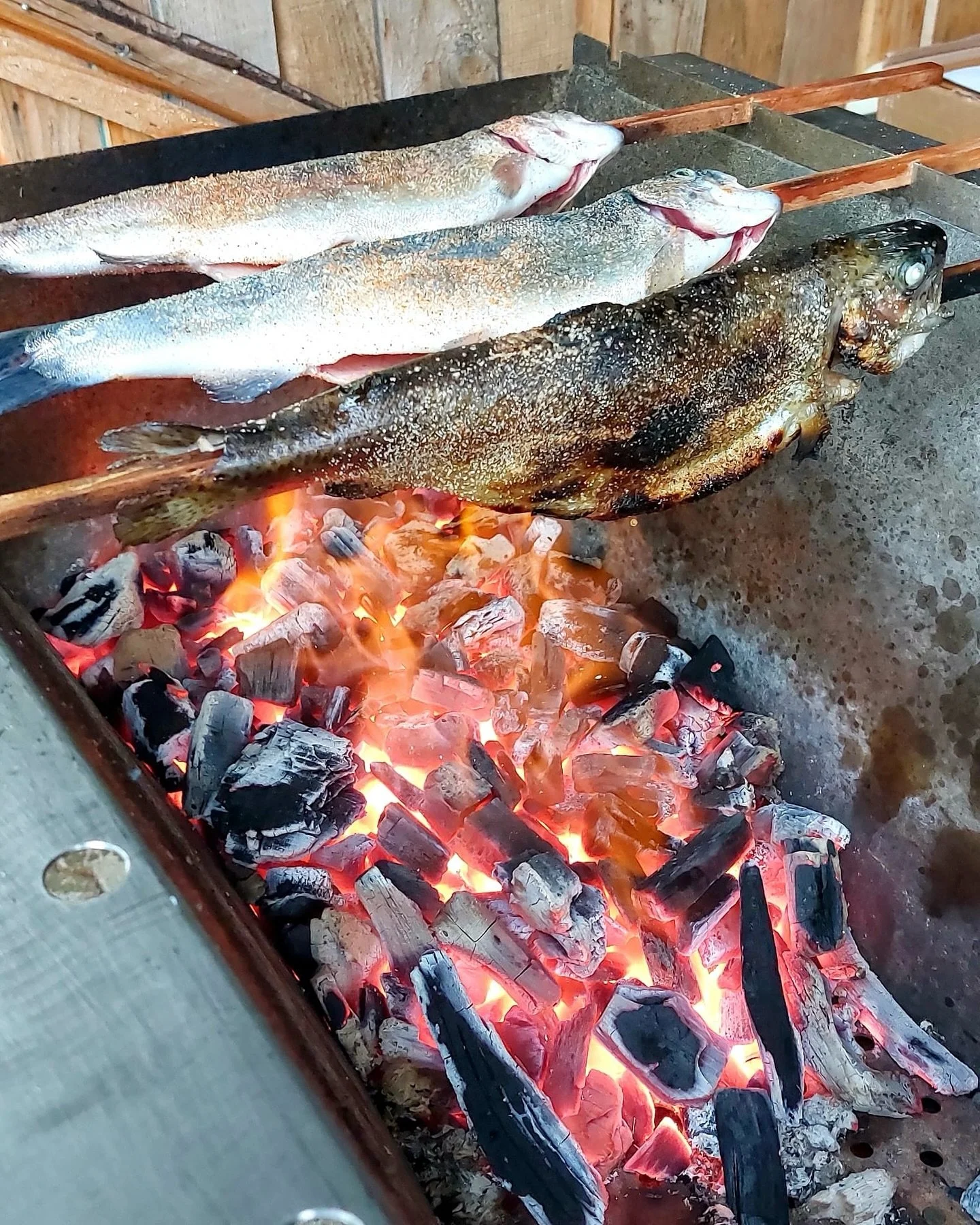 🐟 Wir werfen diese Saison ein letztes Mal unseren Grill an 🔥 Sonntag, 5. Oktober ab 12:00. Steckeles Forelle aus dem K&ouml;rschtal. 

#wereopen #happytoseeyou #forelle #k&ouml;rschtal #beutesee #beutwangsee #n&uuml;rtingen #adventuregolf