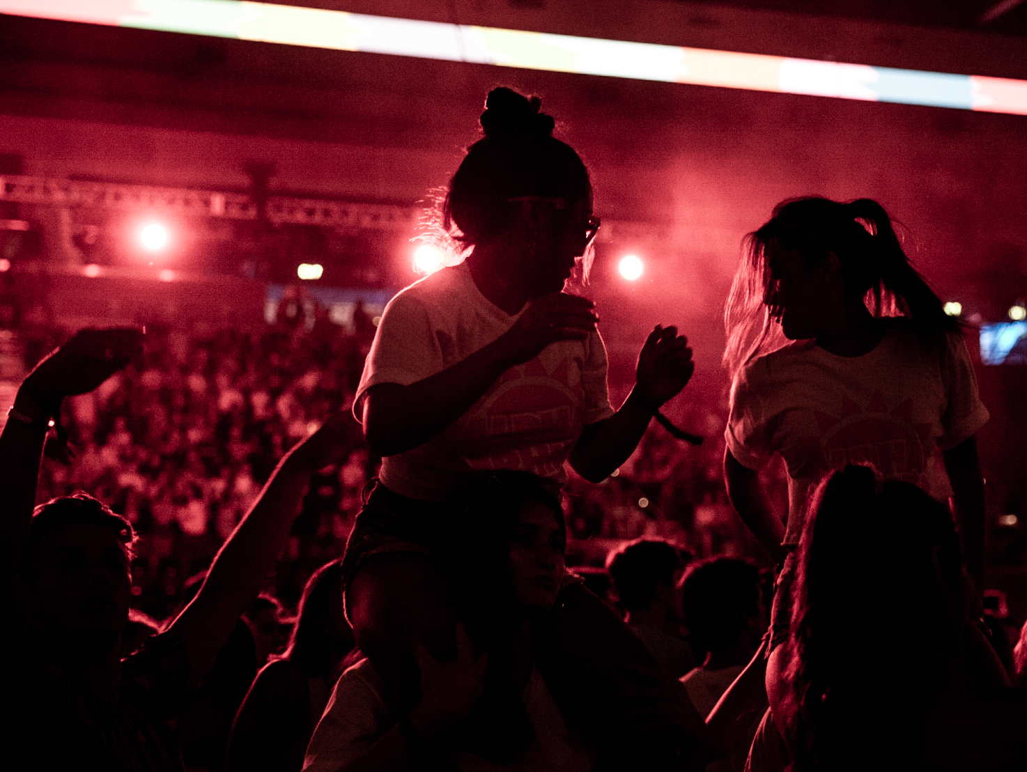 Concert Goers