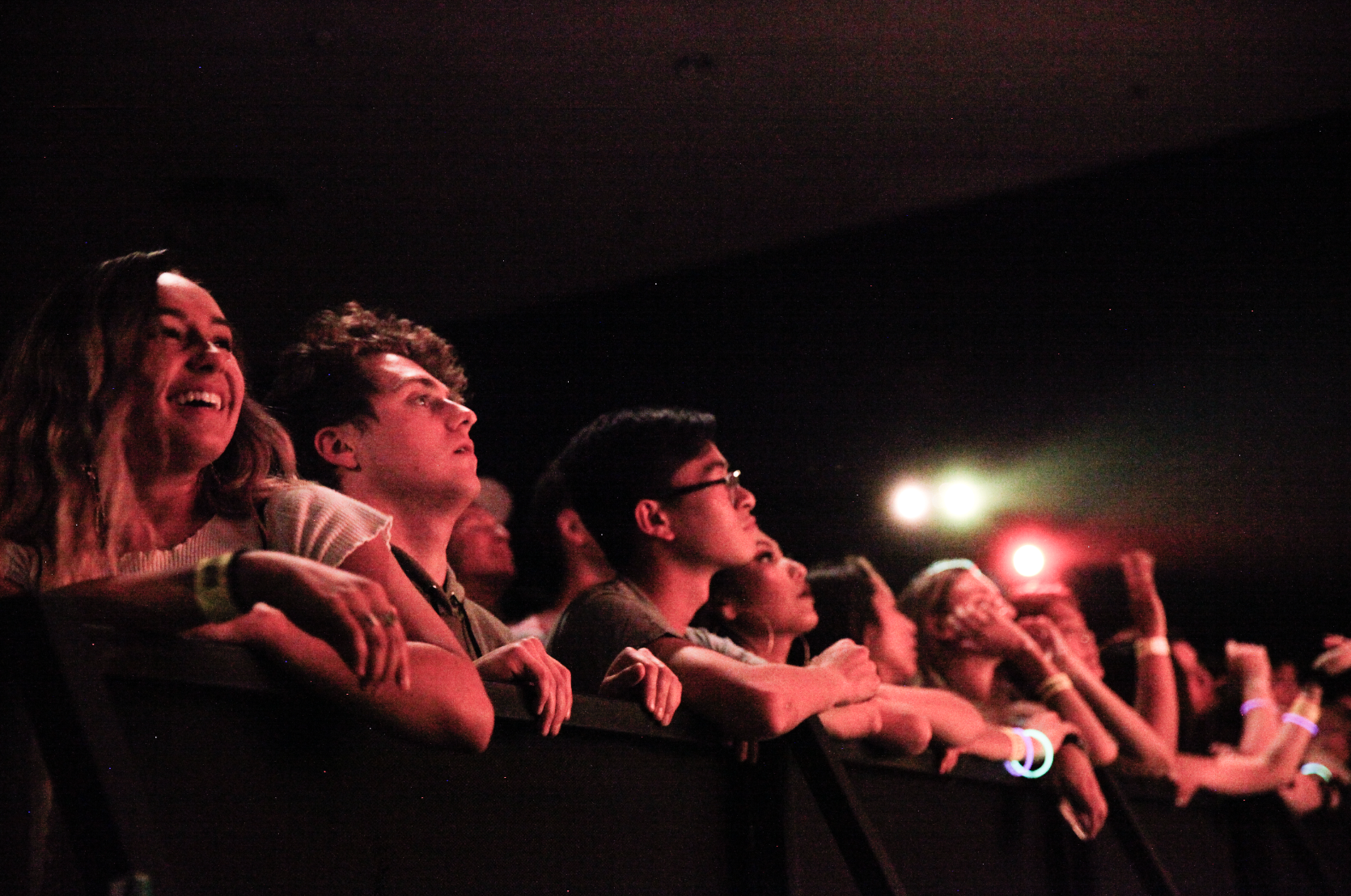 Concert Goers