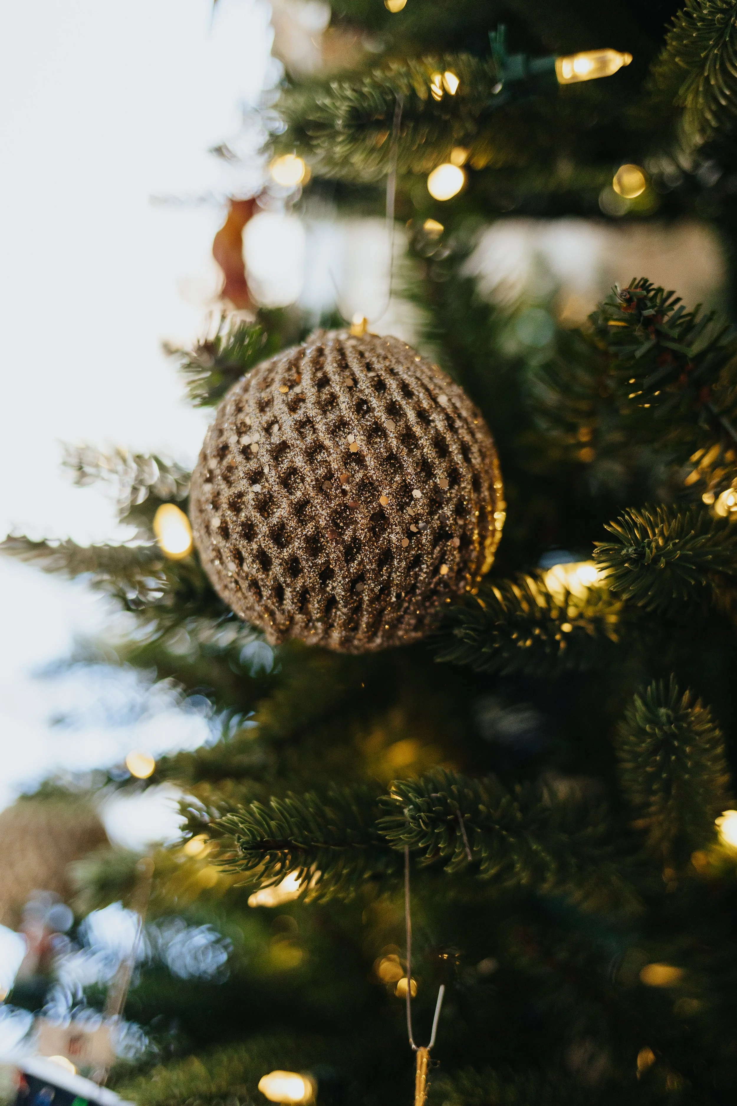 Detail photo of an ornament on a Christmas tree.