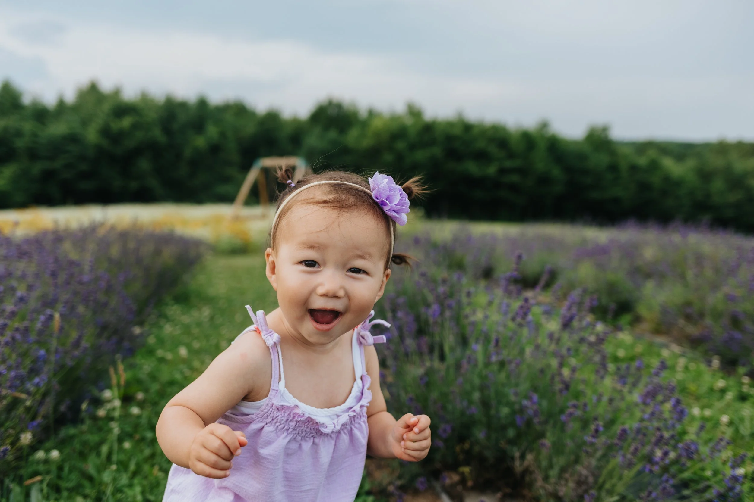 Candid portrait of toddler at a lavender farm in Holden by Worcester photographer Tom Godfrey Photography.