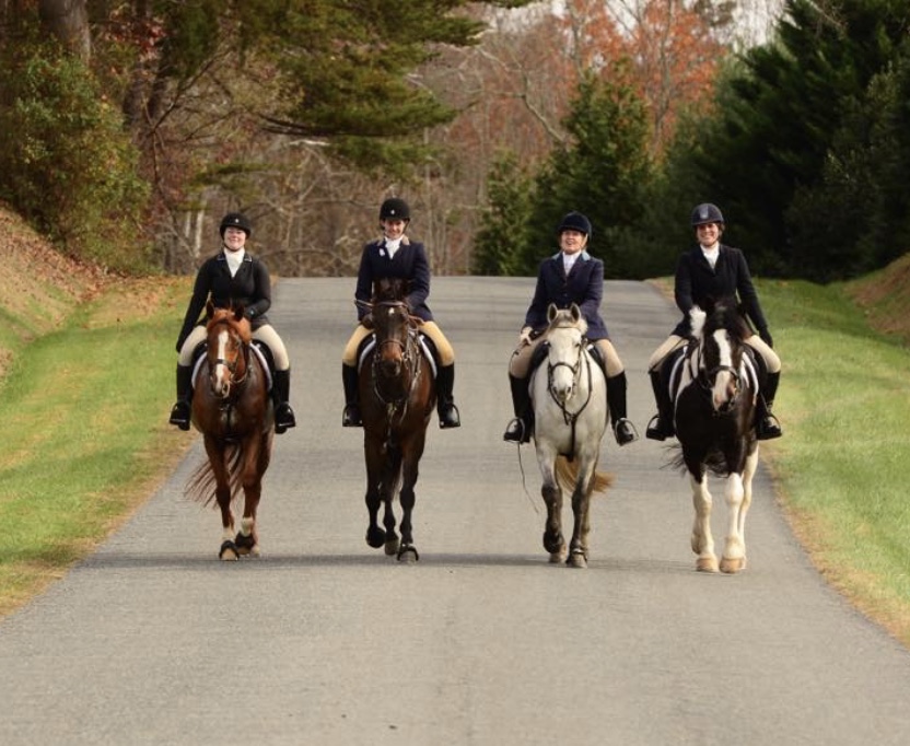 Opening Meet with Thornton Hill Hounds