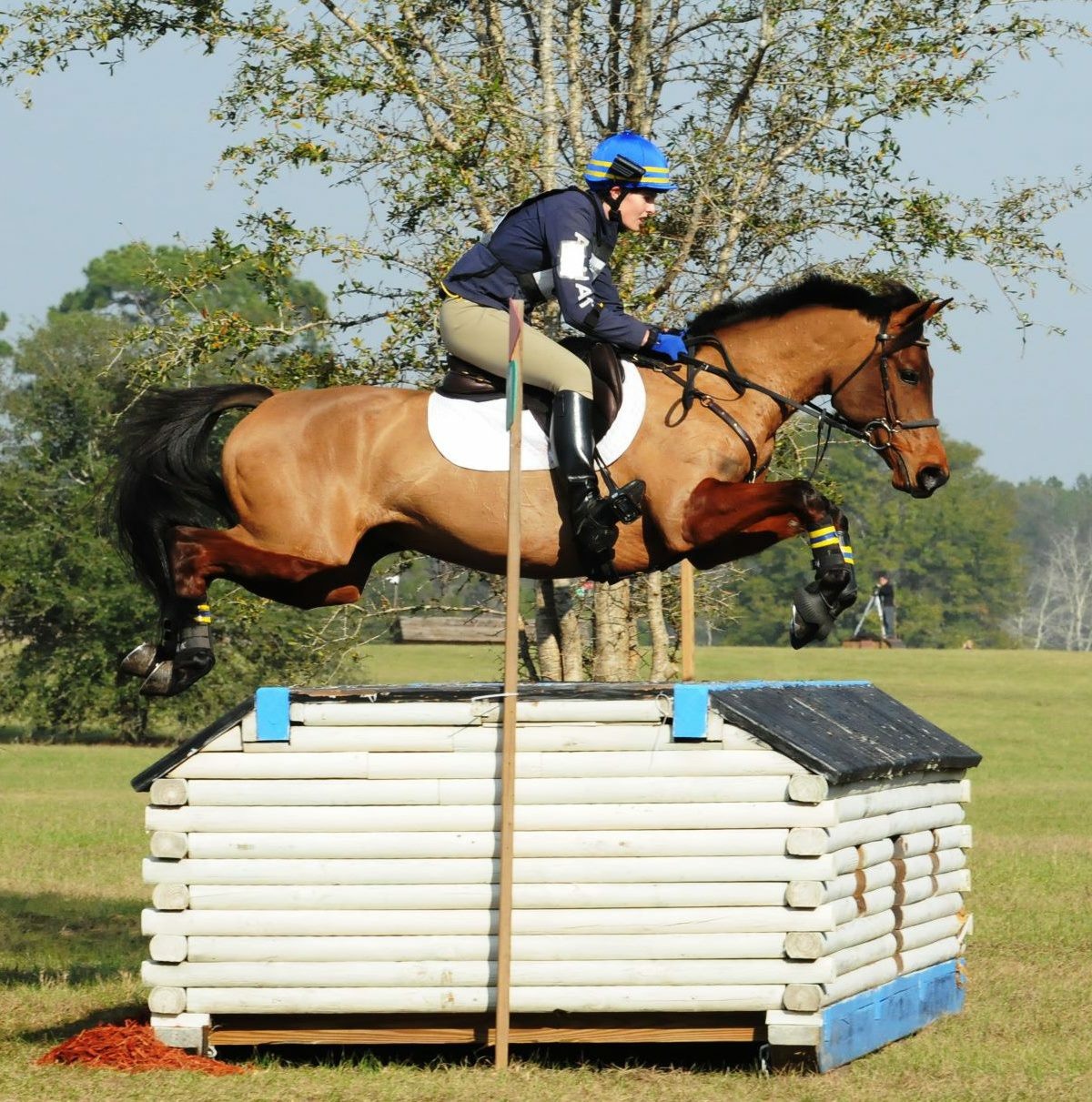 USEA Pony of the Year, GANYMEDE