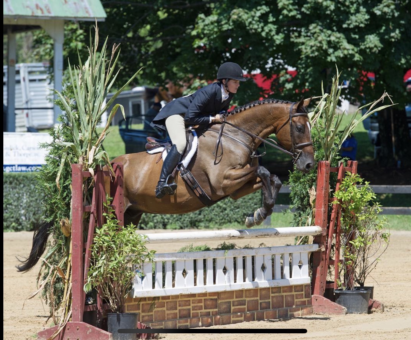 Foxhunters over Fences, 2018 Warrenton Horse Show 