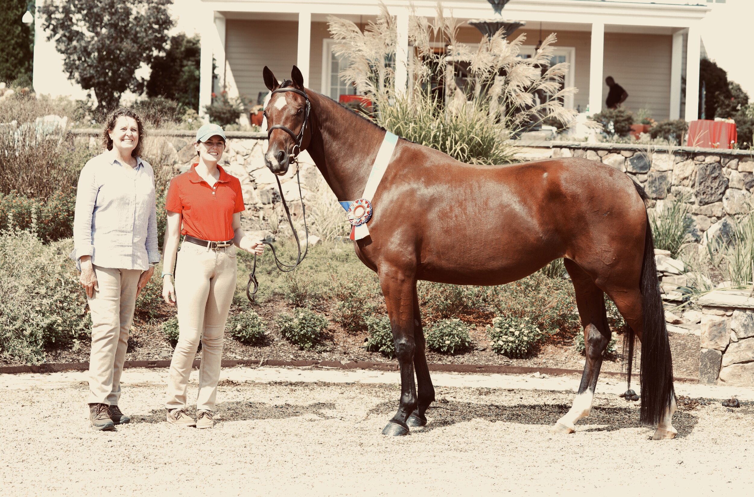 2018 Champion Holsteinr mare