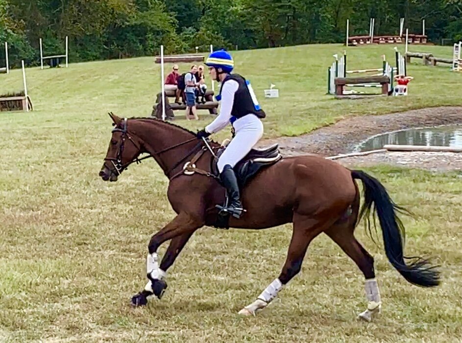 Young Event Horse class 