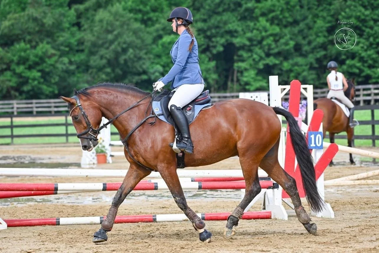 2023 BLUE HIGHWAY TROT.JPG