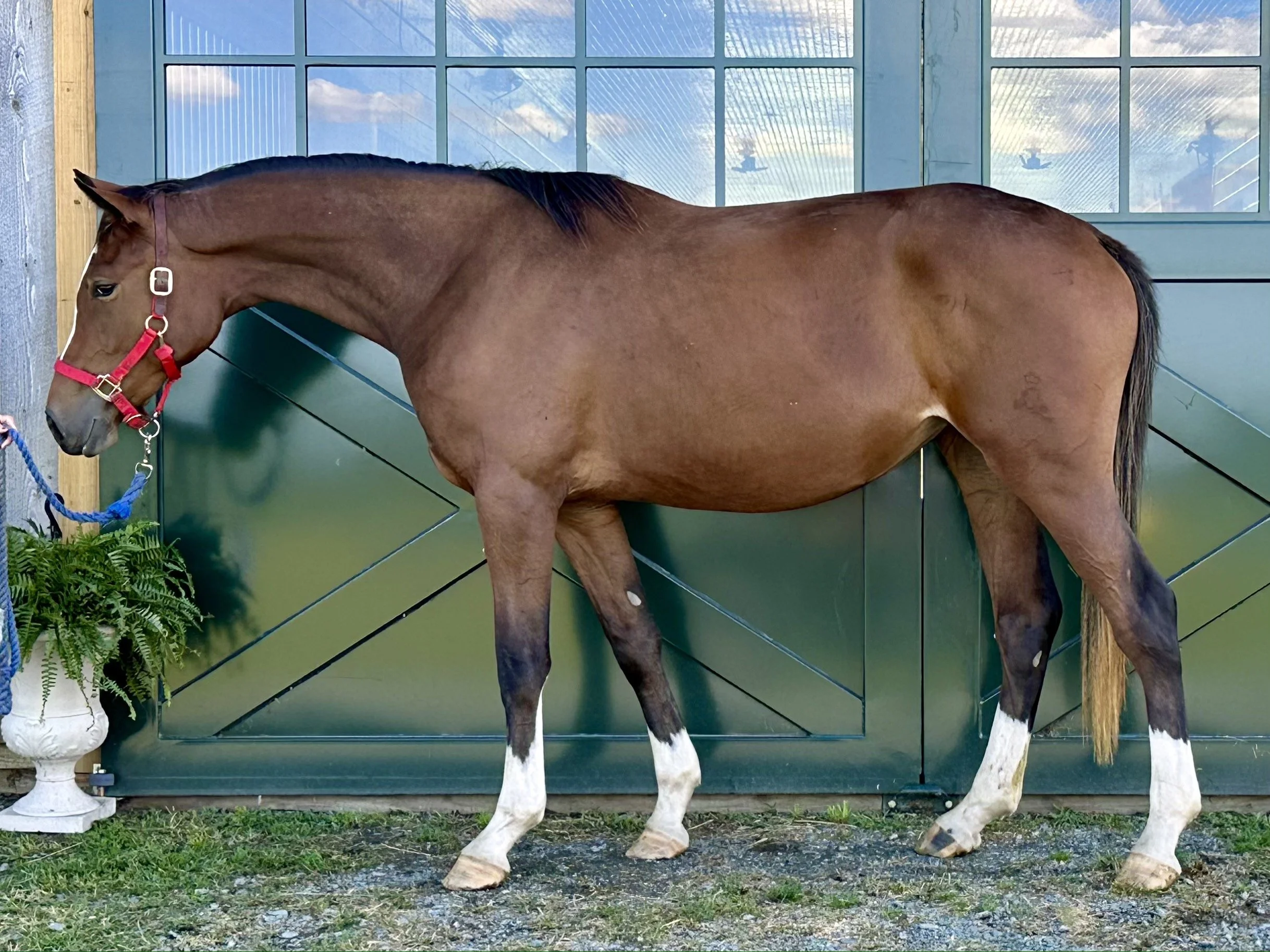 MATAMORAS 2023 1.JPG