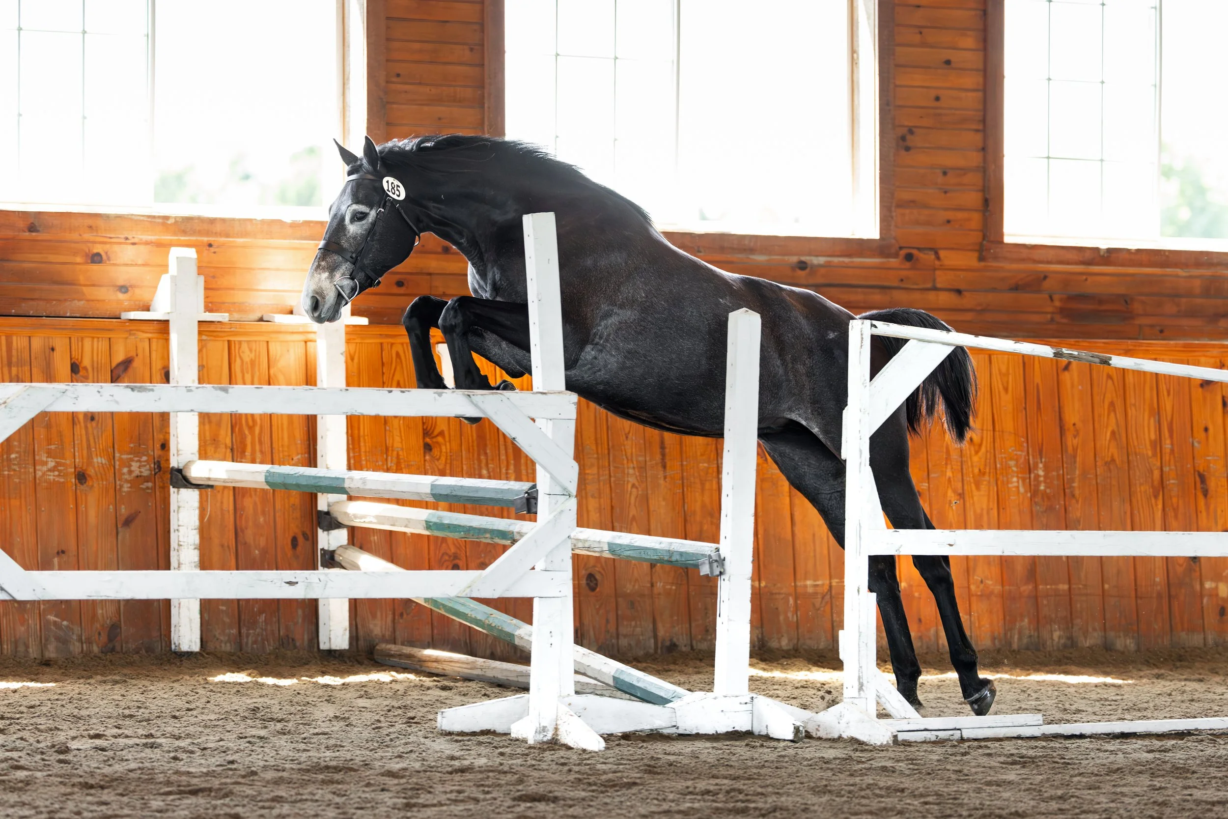 2024 YHS Shrimp Jump.jpg