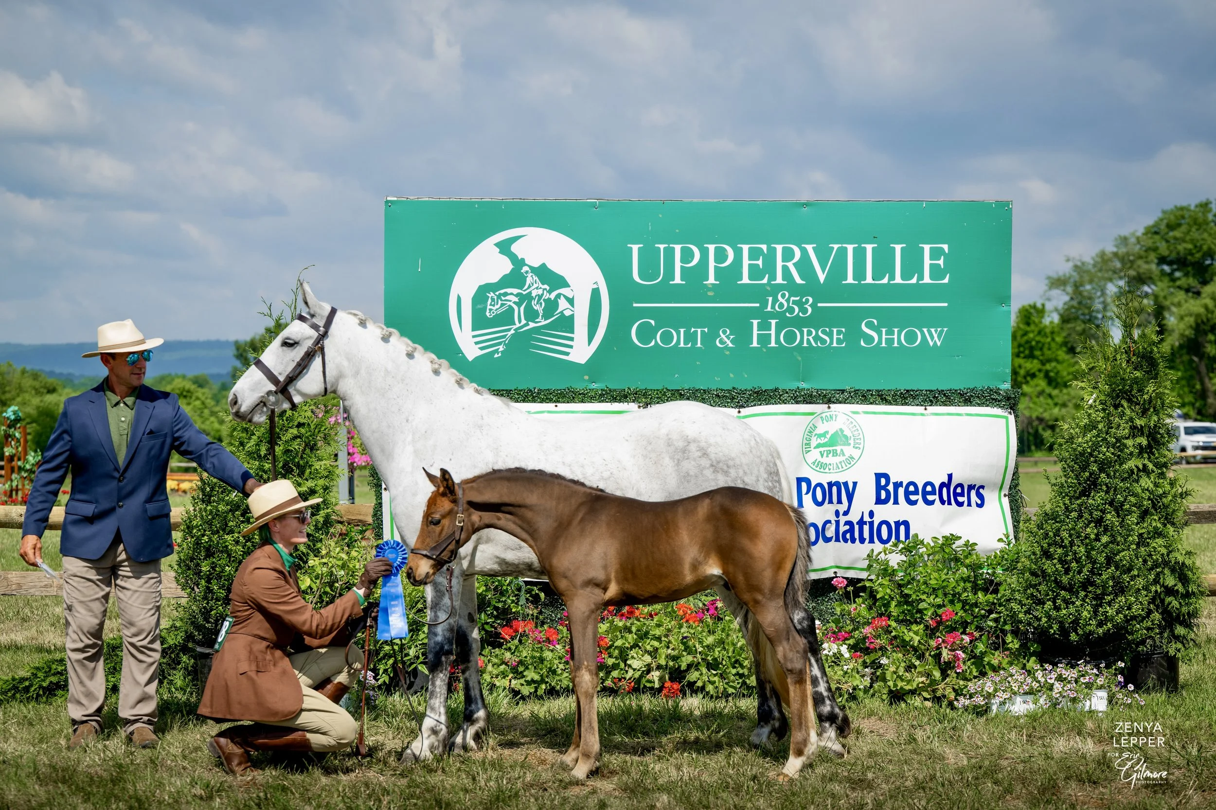 Uppervillie060726_gilmorePonyFoals_zl-0356.jpeg