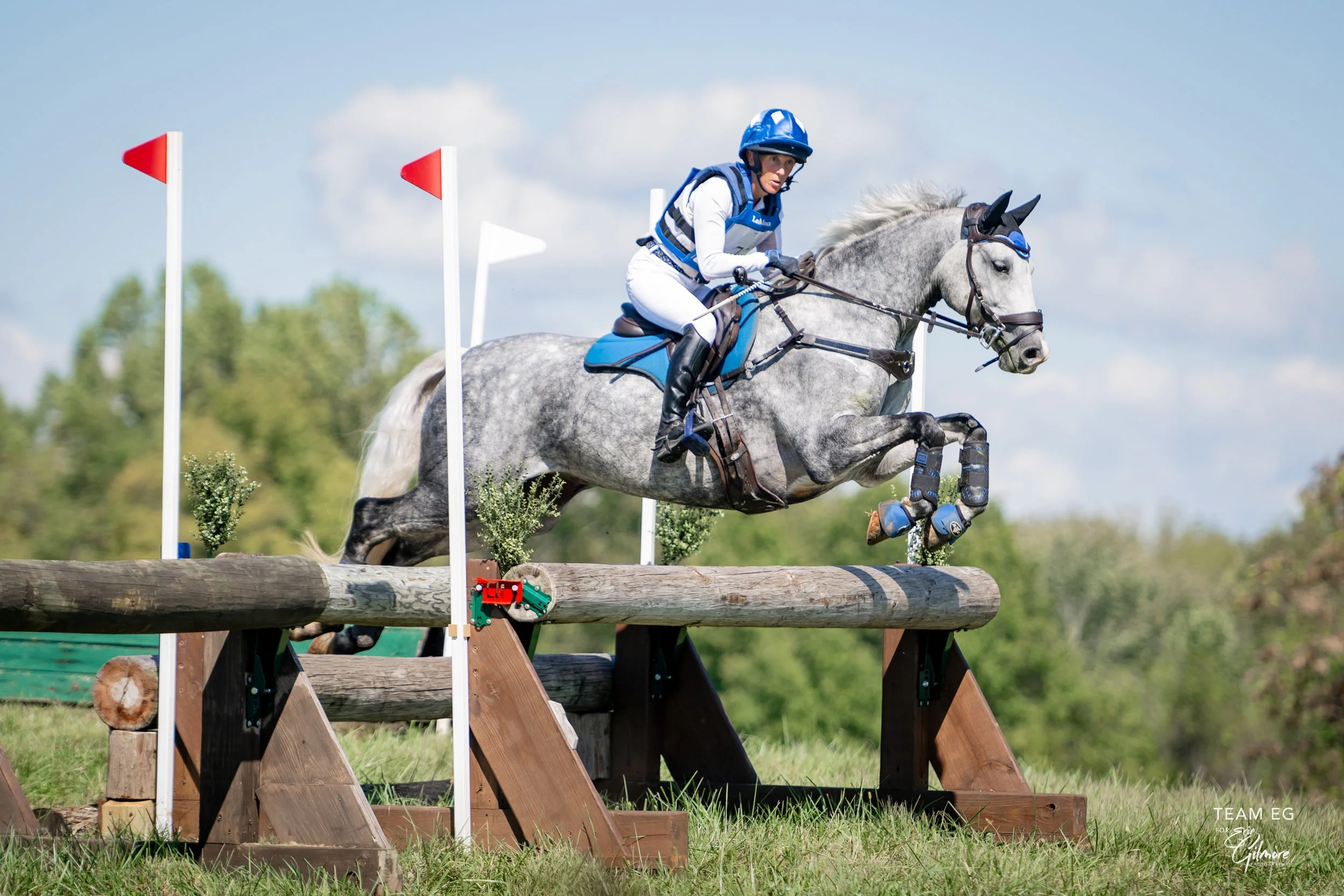 2025 SOMETHING BLUE 1.JPG