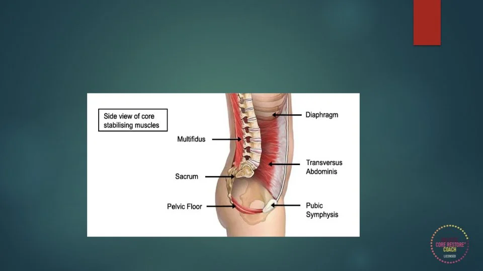 PF & CORE SEP 2024.005.jpeg